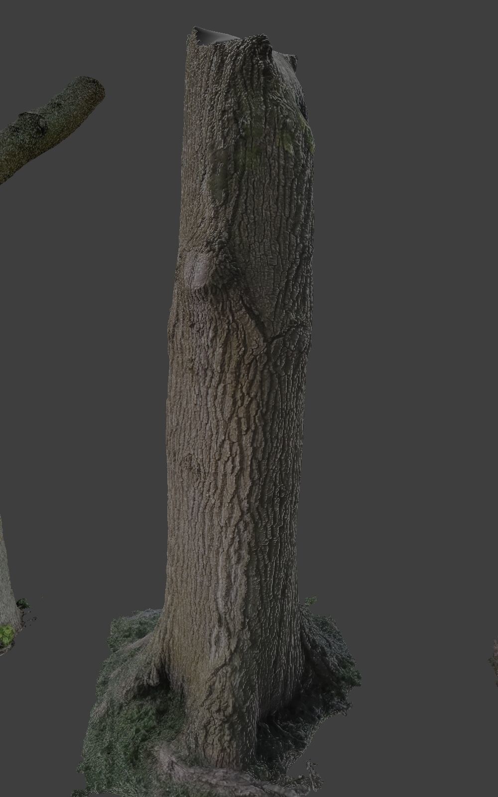 10 Photo Scanned Tree Trunks 3D model_16