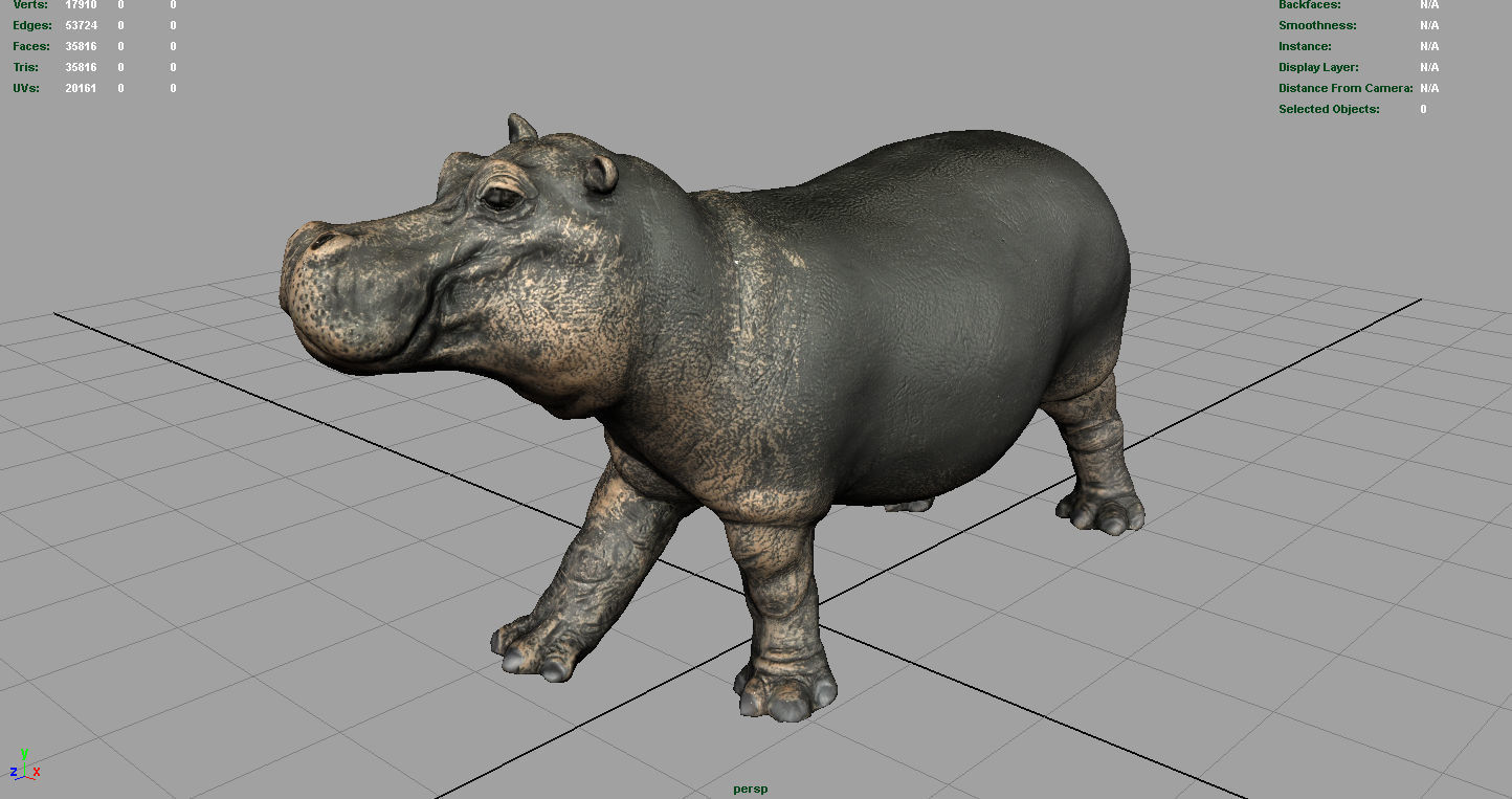 WILD AFRICA PACK Low-poly 3D model_20