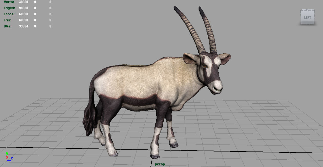 WILD AFRICA PACK Low-poly 3D model_35