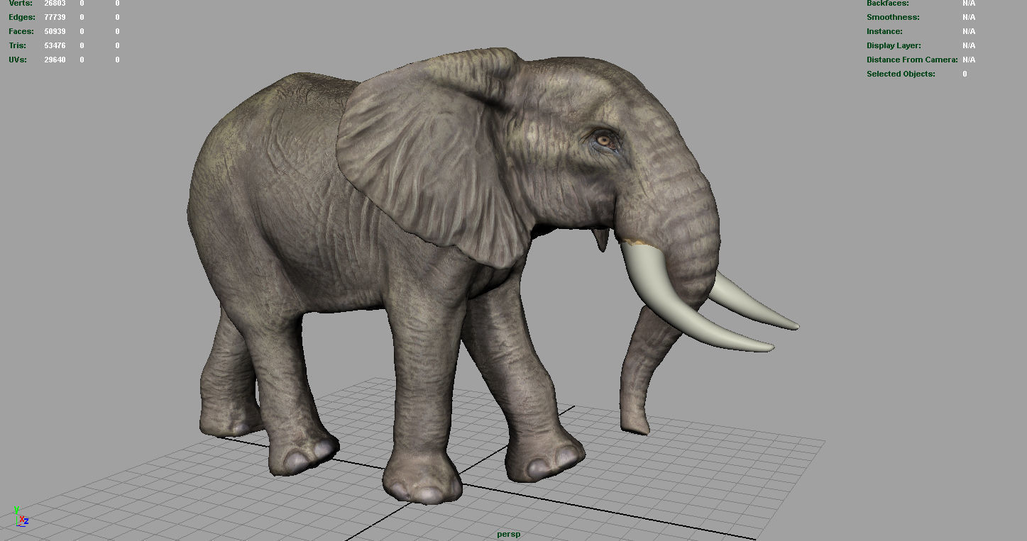 WILD AFRICA PACK Low-poly 3D model_9