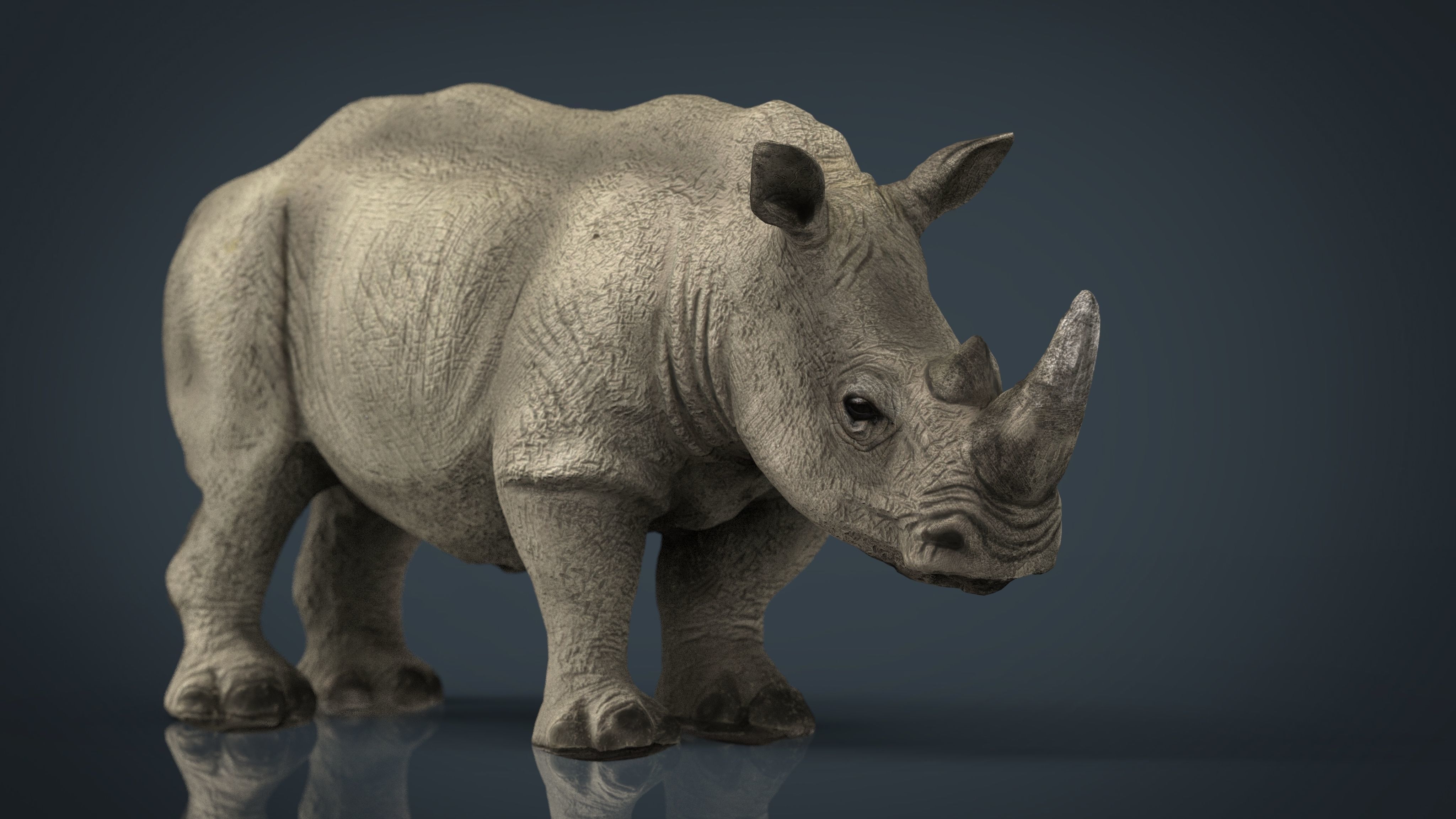 WILD AFRICA PACK Low-poly 3D model_44