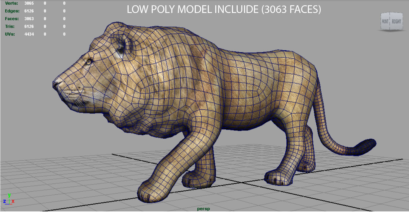 WILD AFRICA PACK Low-poly 3D model_29