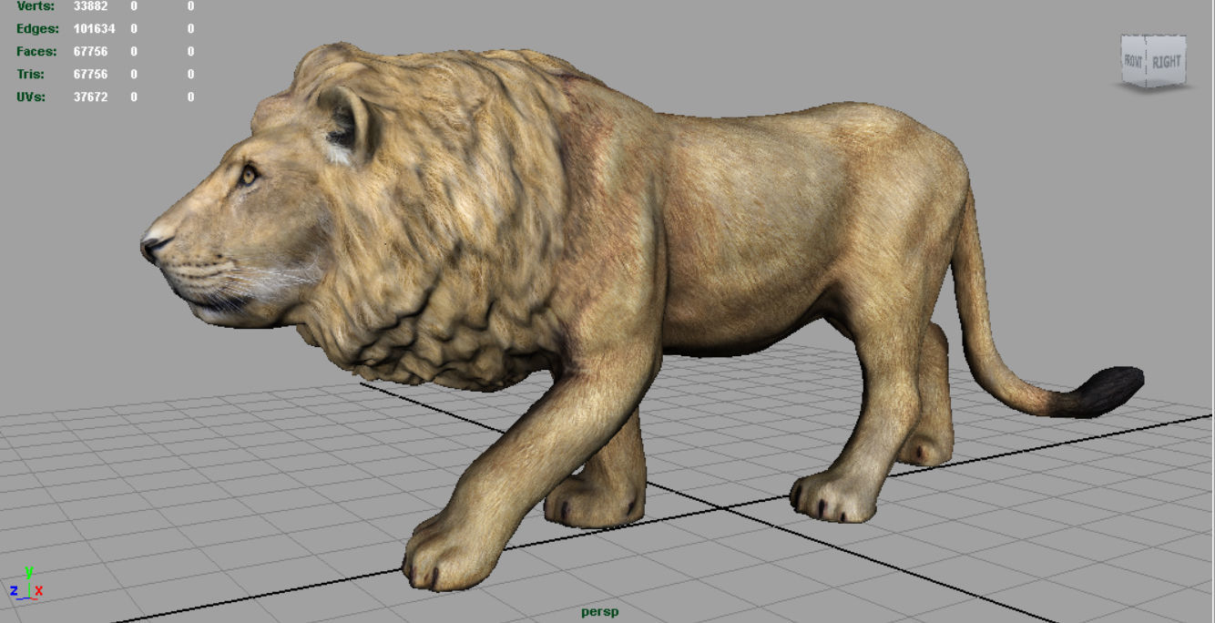 WILD AFRICA PACK Low-poly 3D model_26