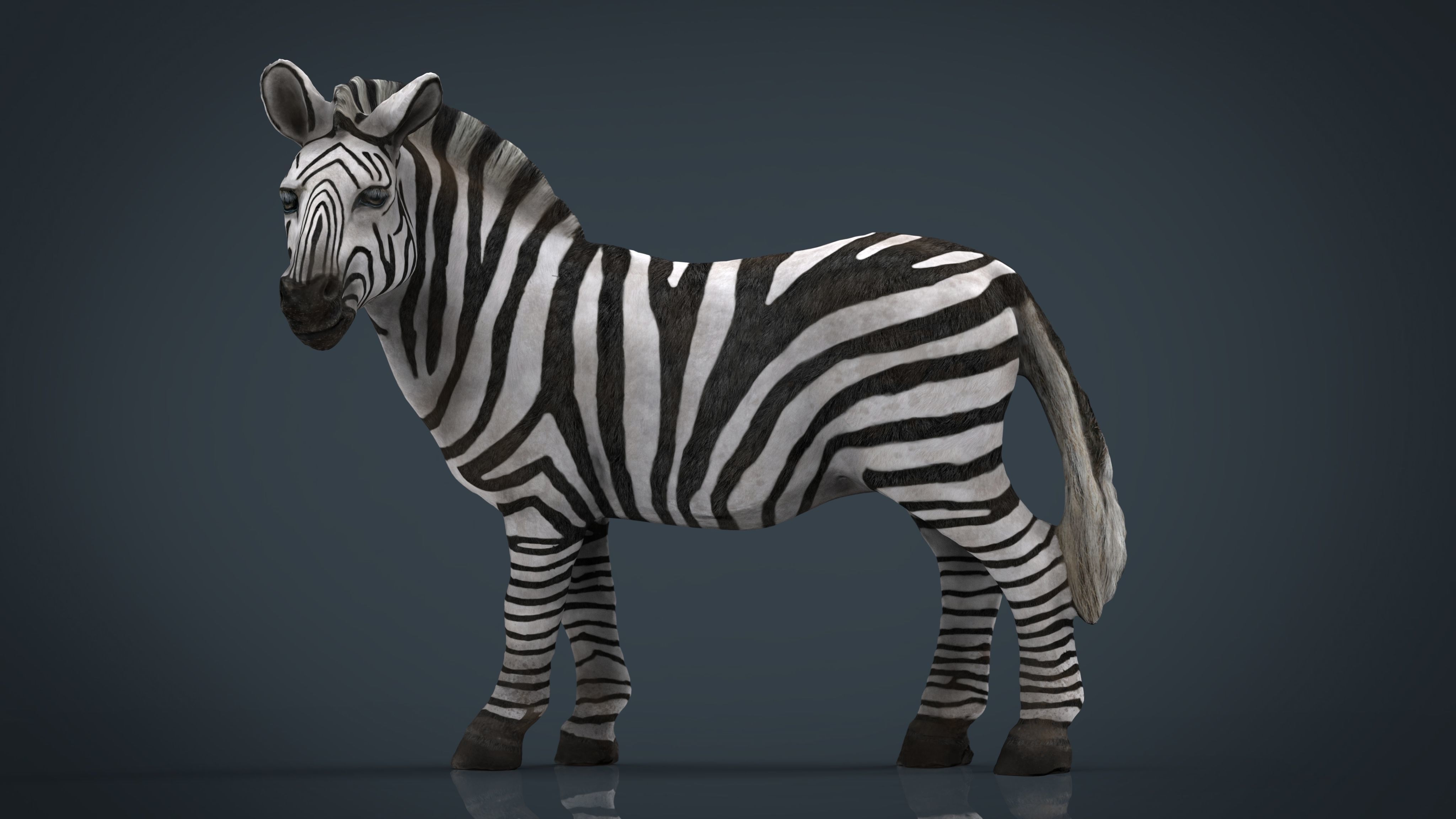 WILD AFRICA PACK Low-poly 3D model_49
