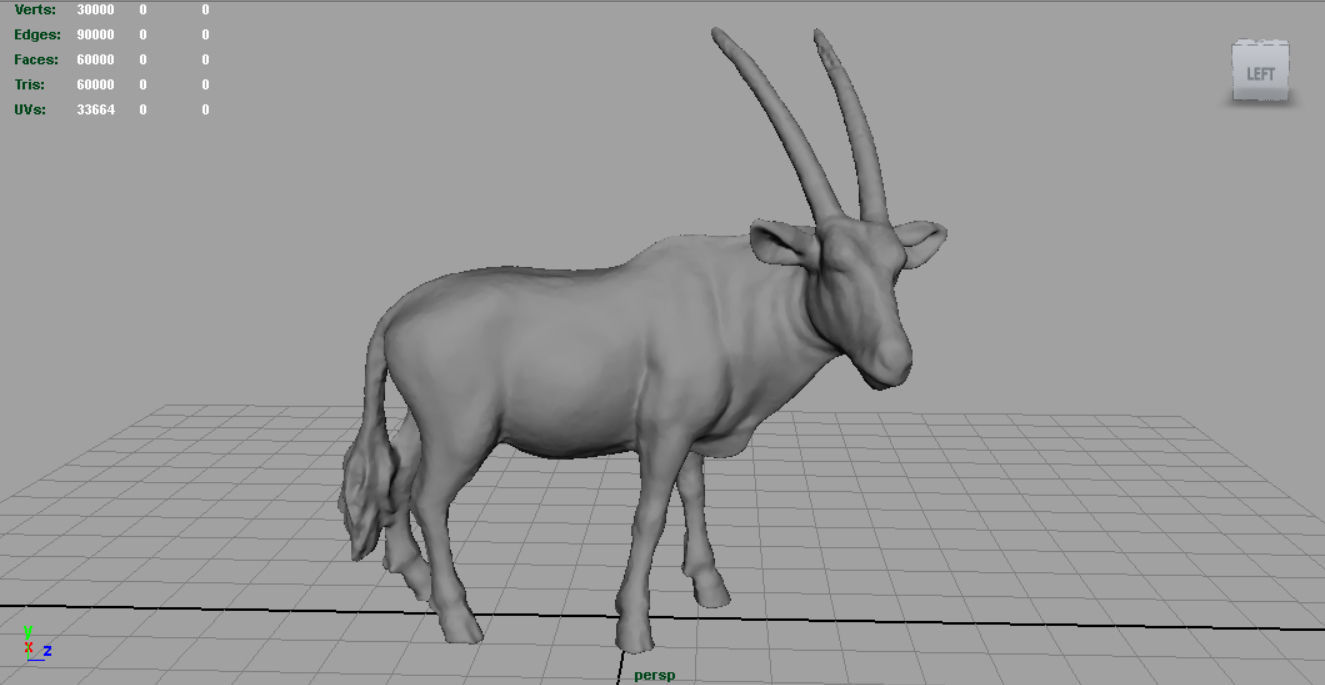 WILD AFRICA PACK Low-poly 3D model_36