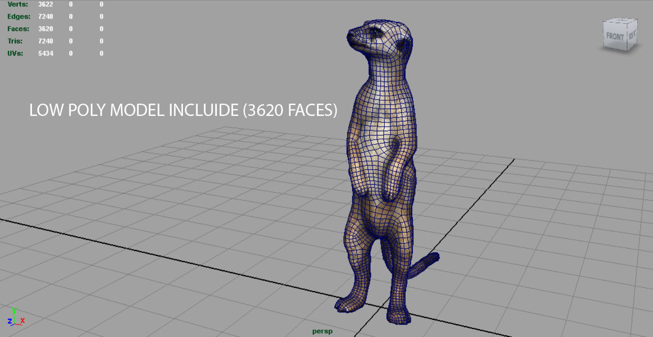 WILD AFRICA PACK Low-poly 3D model_33