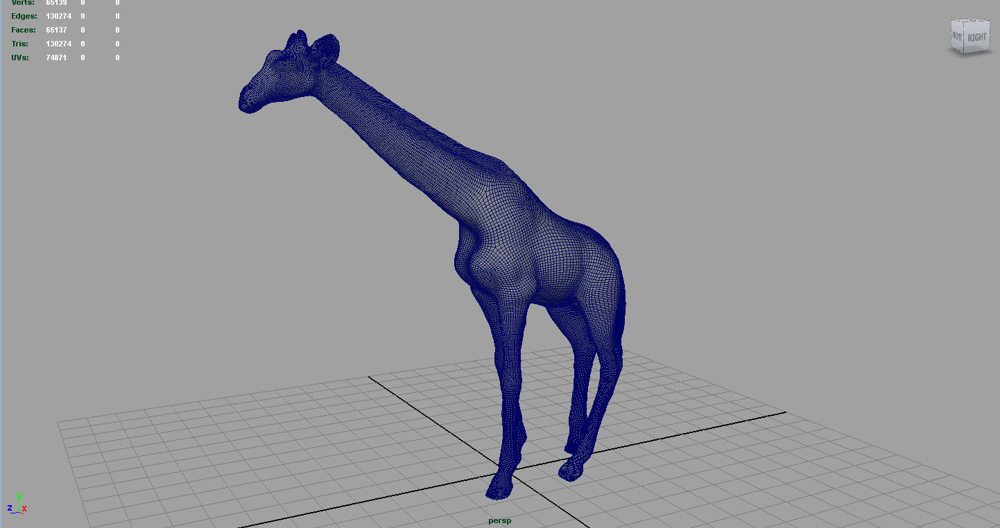 WILD AFRICA PACK Low-poly 3D model_18