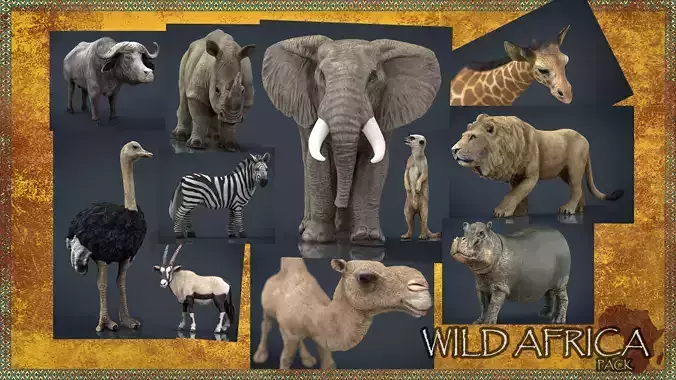 WILD AFRICA PACK Low-poly 3D model