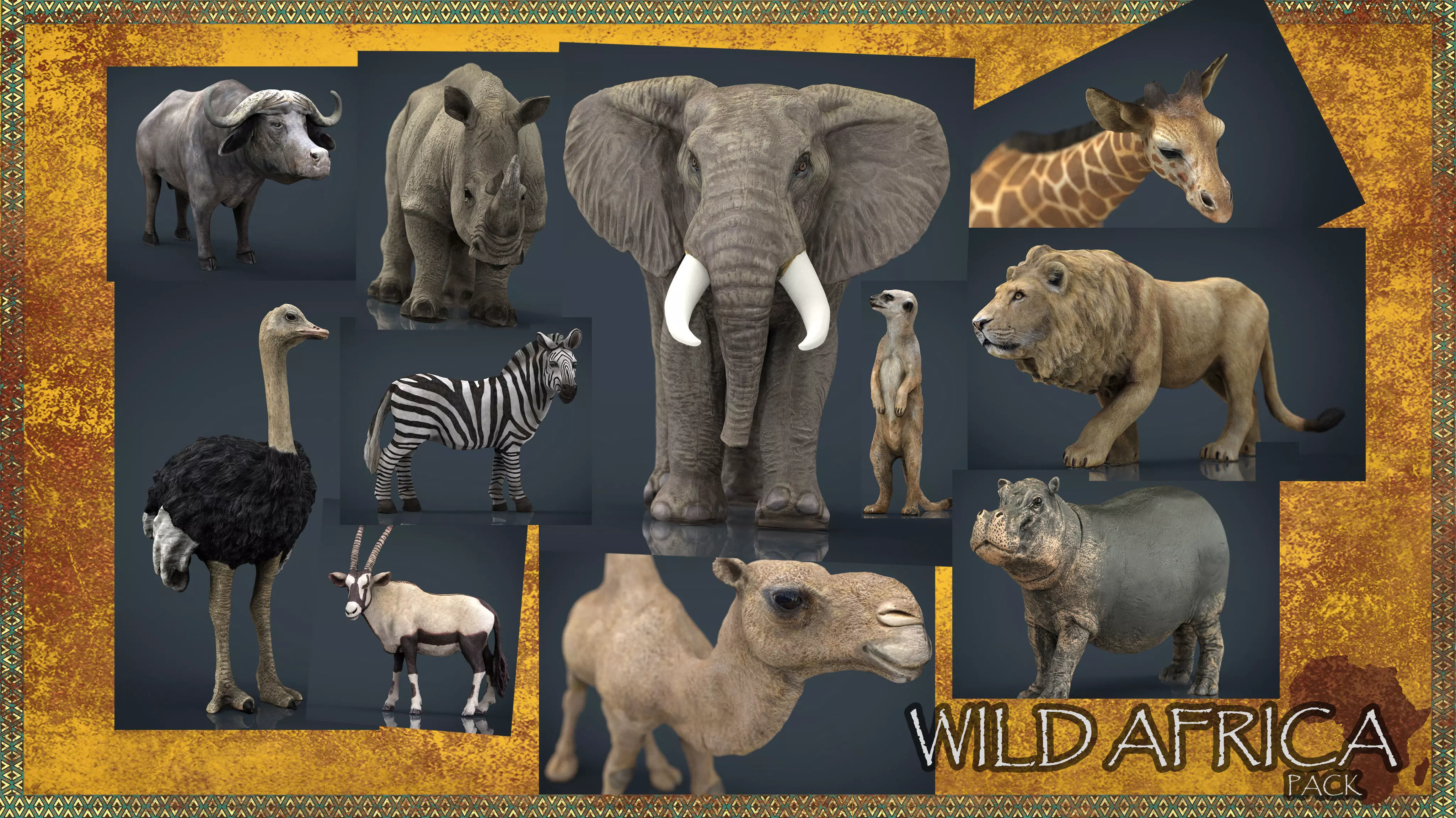WILD AFRICA PACK Low-poly 3D model_0