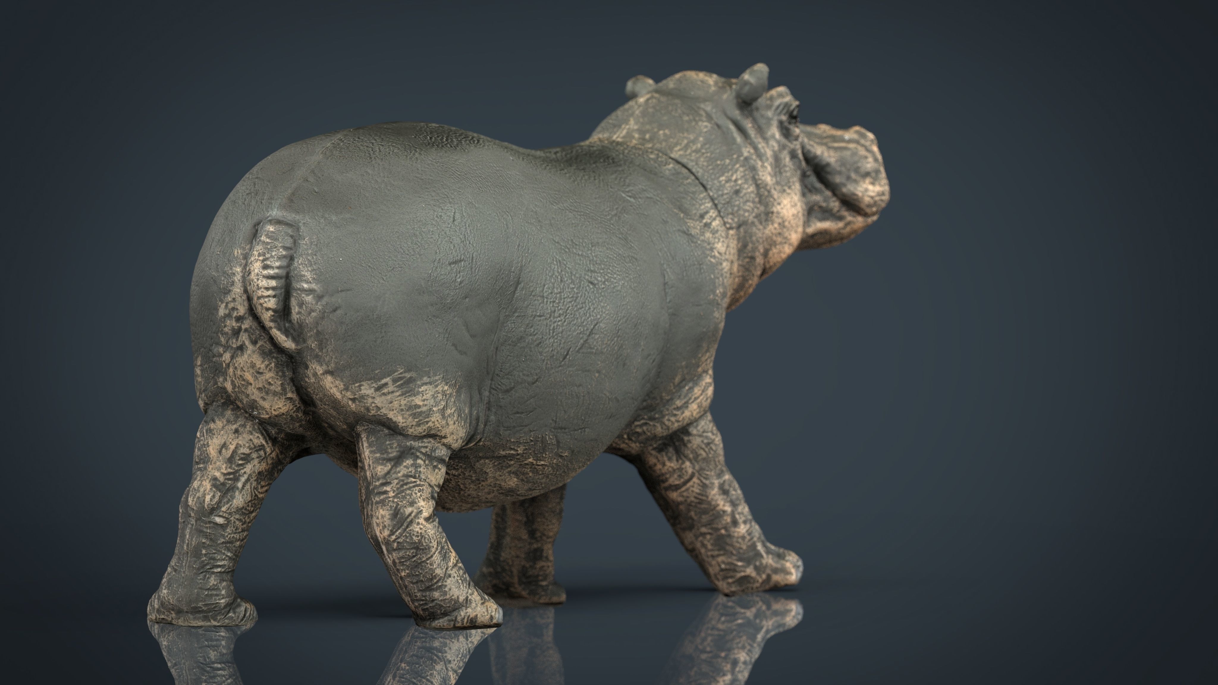WILD AFRICA PACK Low-poly 3D model_23