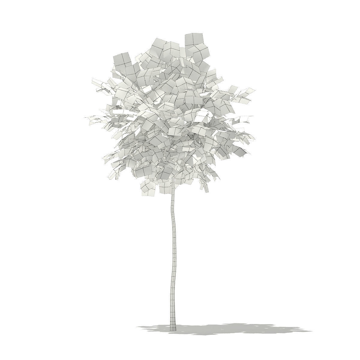 Ginkgo Tree Ginkgo biloba 2m 3D model_1