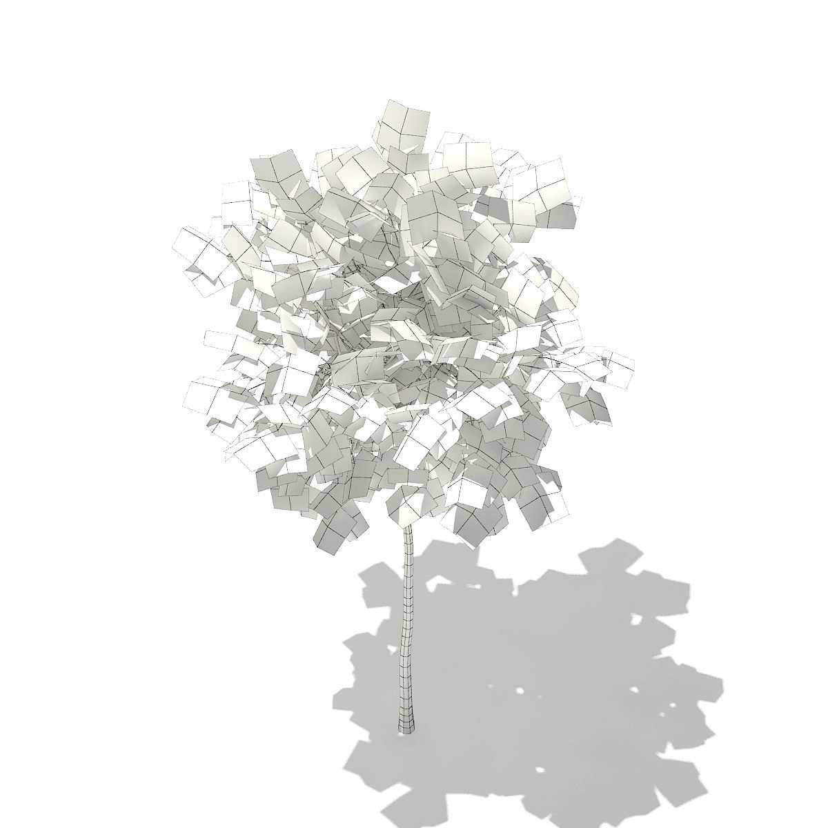 Ginkgo Tree Ginkgo biloba 2m 3D model_5