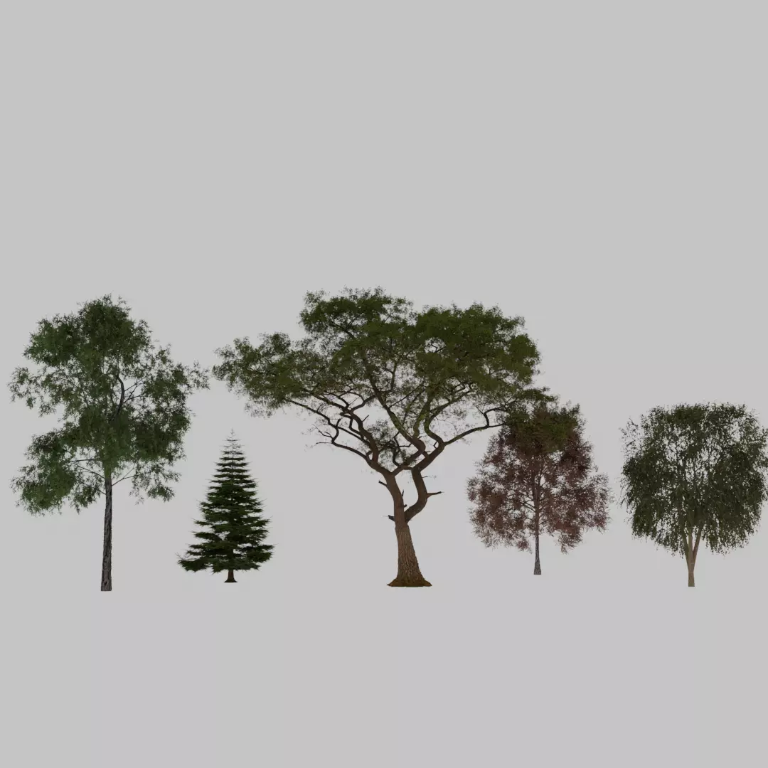 Realistic Forest Trees Pack 5 High Quality 3D Tree Models 3D model