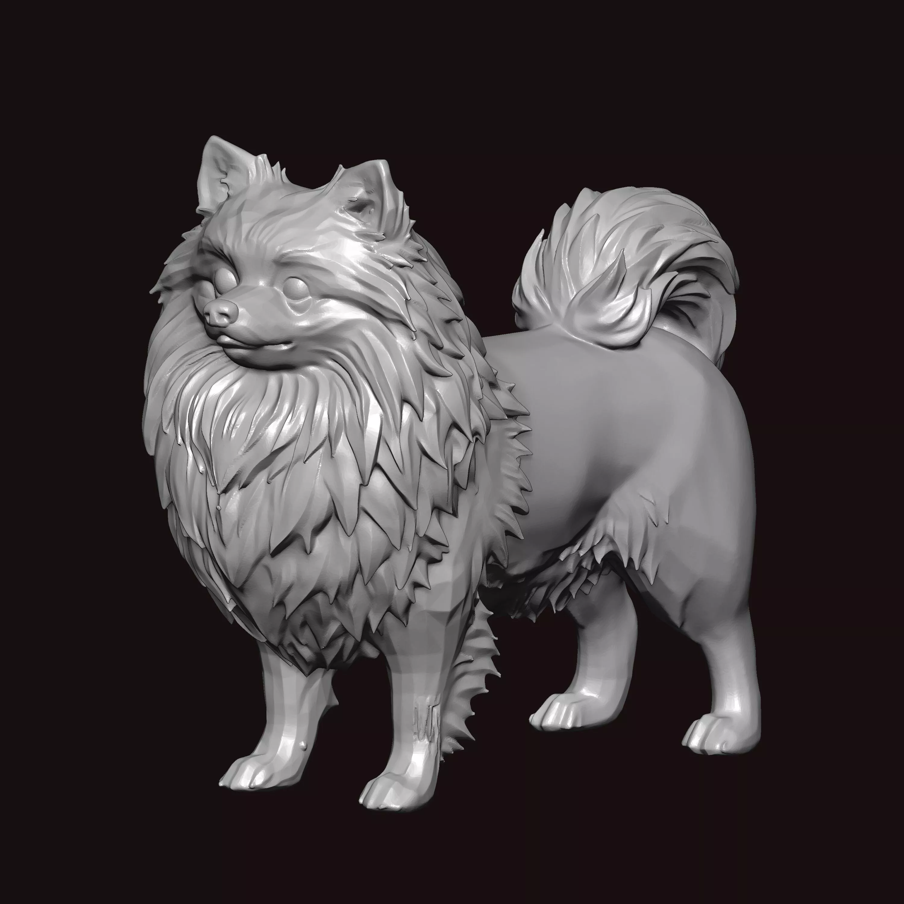 Indian Spitz Standing Pose 3D print model