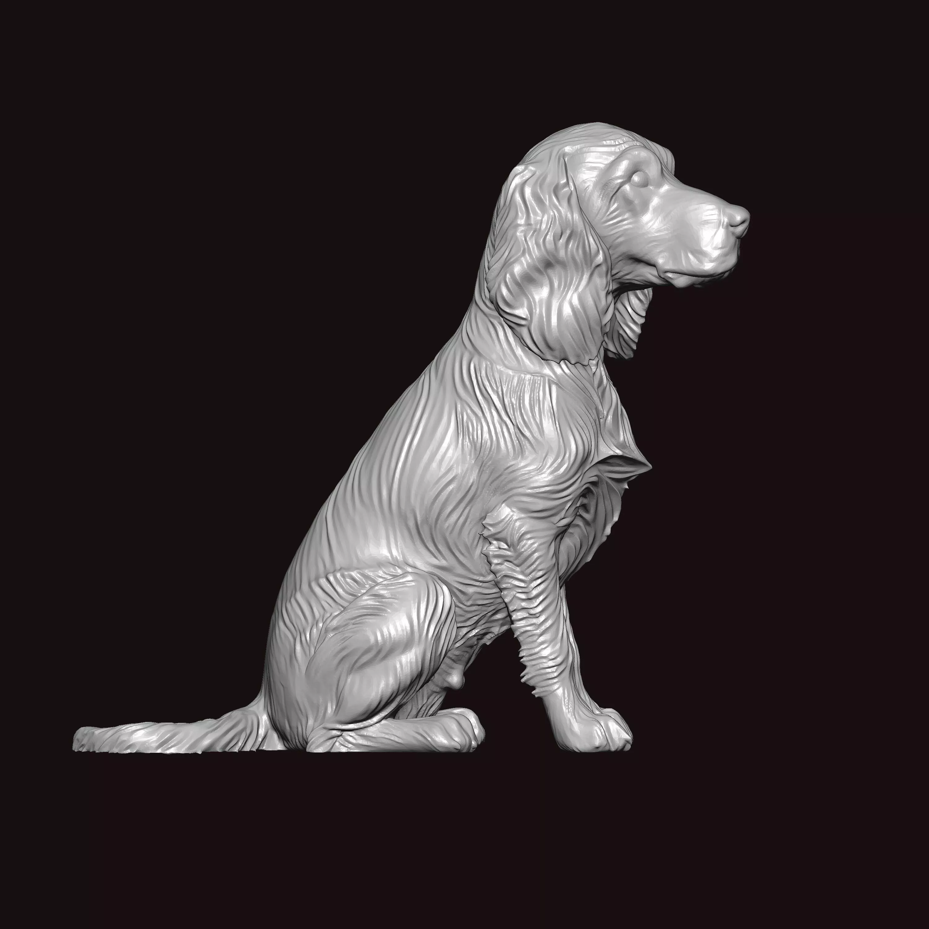 English Springer Seating Pose 3D print model