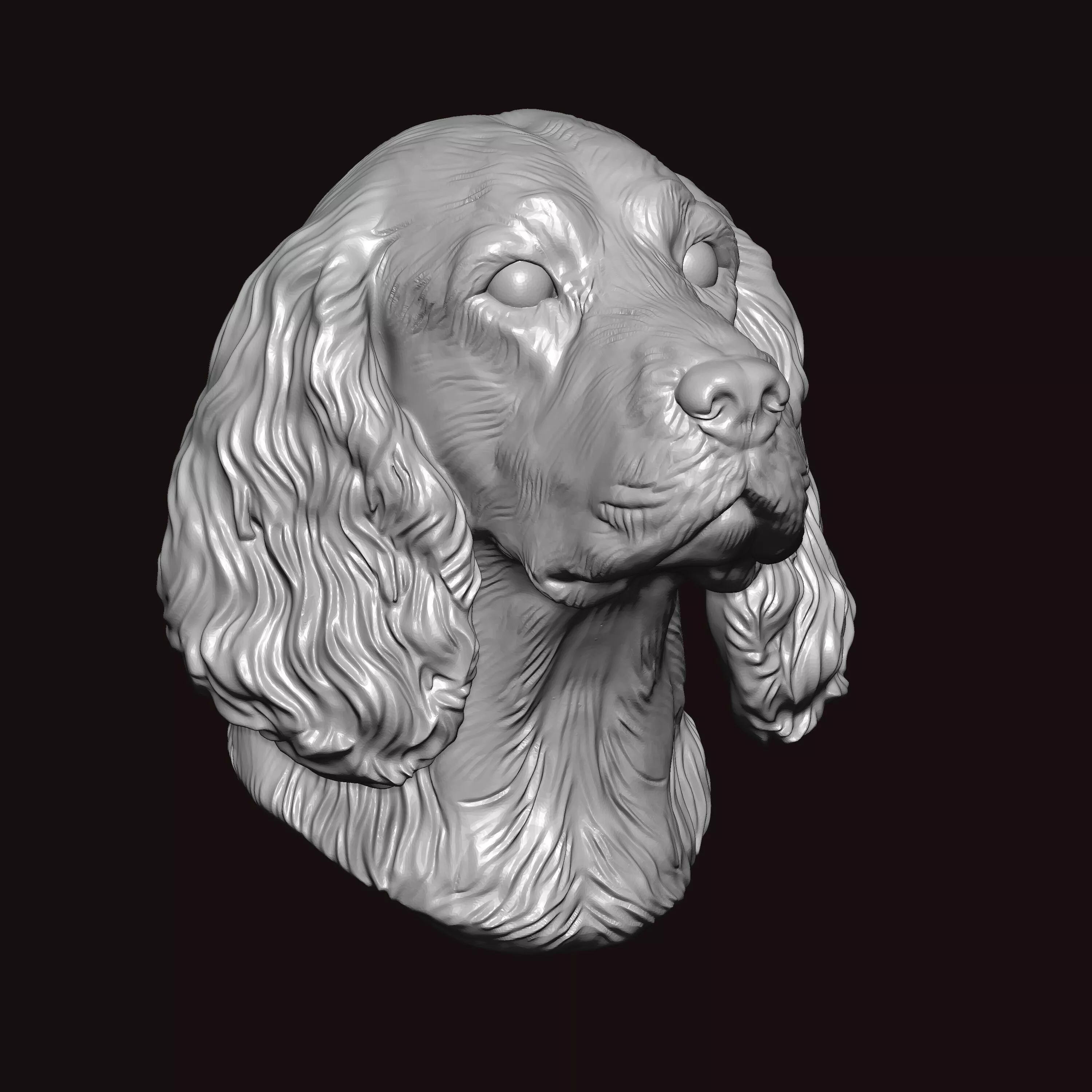English Springer Face Bust 3D print model