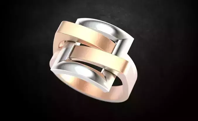 Ring with two metals 73