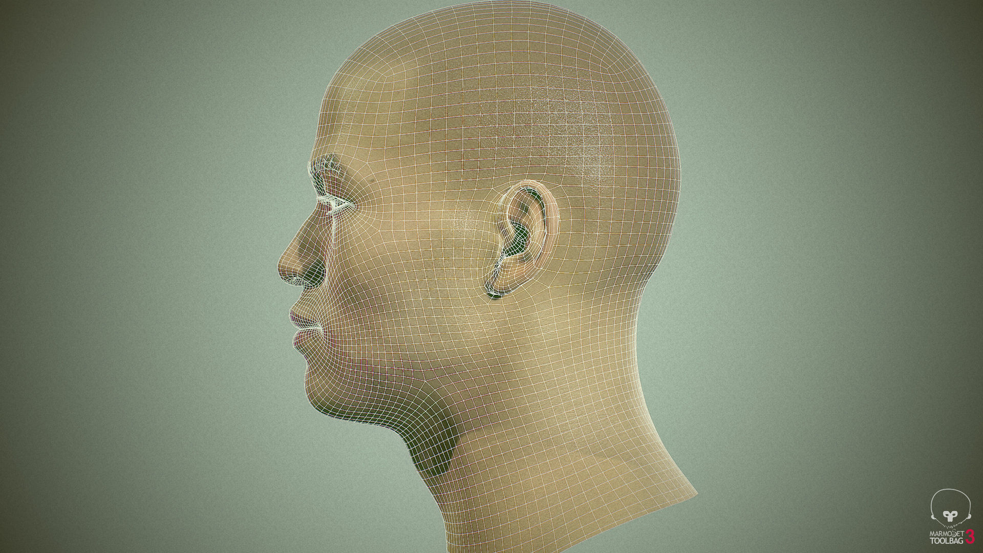 Average Asian Male Head Low-poly 3D model_32