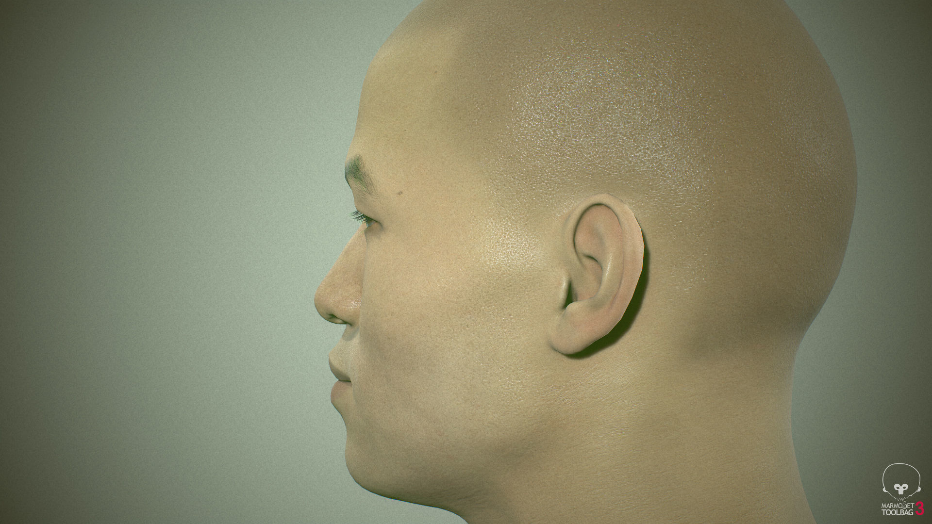 Average Asian Male Head Low-poly 3D model_22