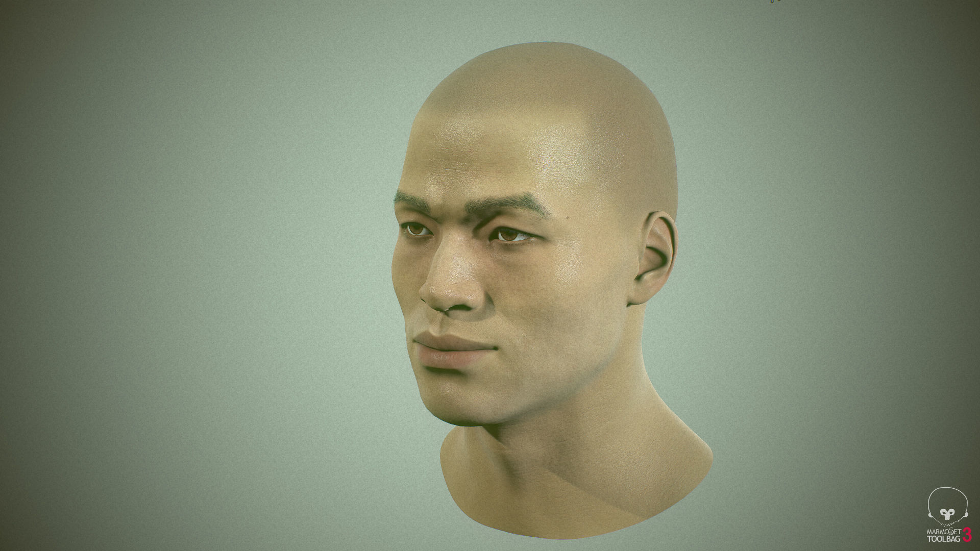 Average Asian Male Head Low-poly 3D model_25