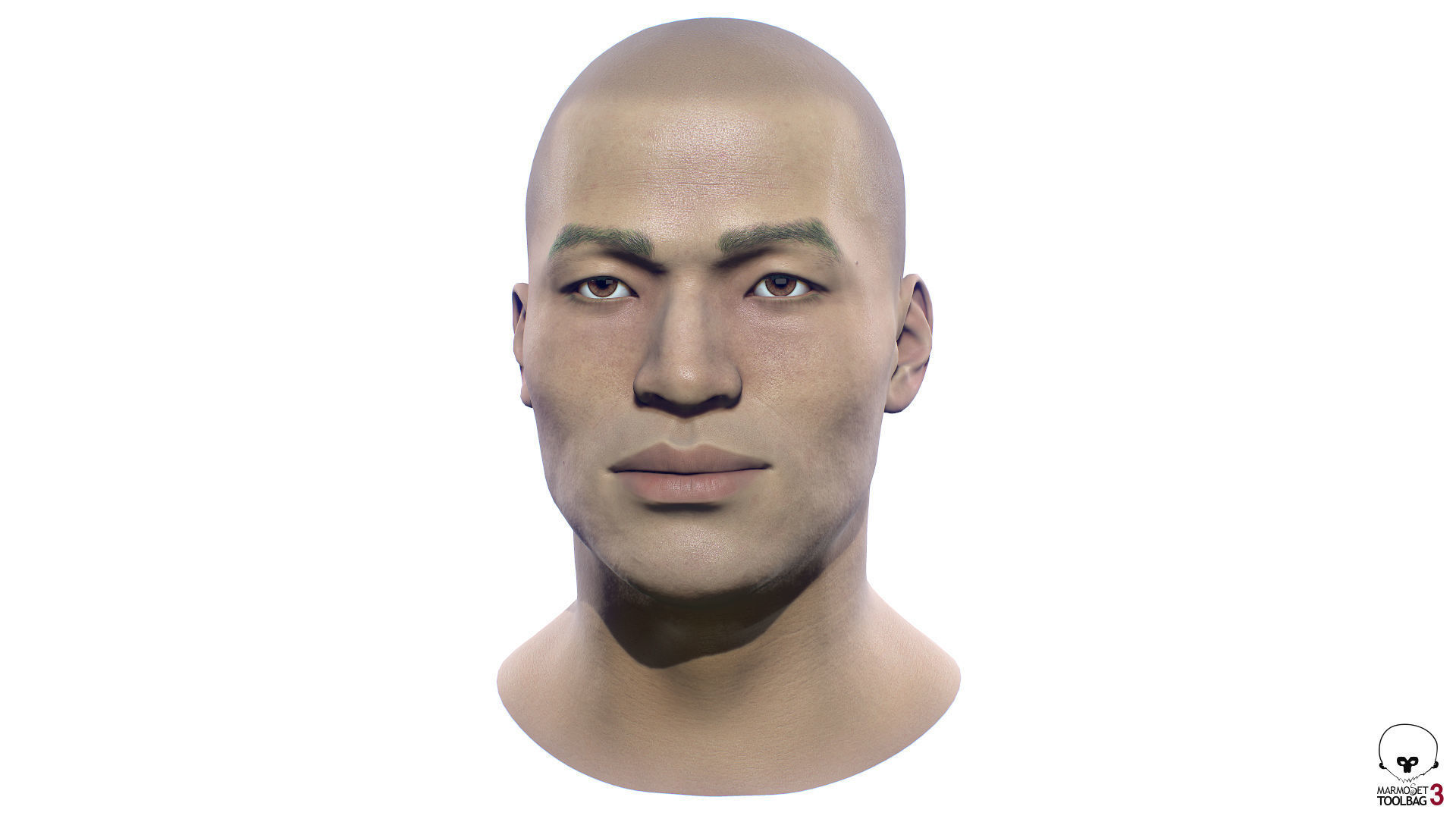Average Asian Male Head Low-poly 3D model_4