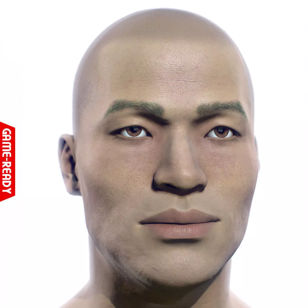Average Asian Male Head Low-poly 3D model_0