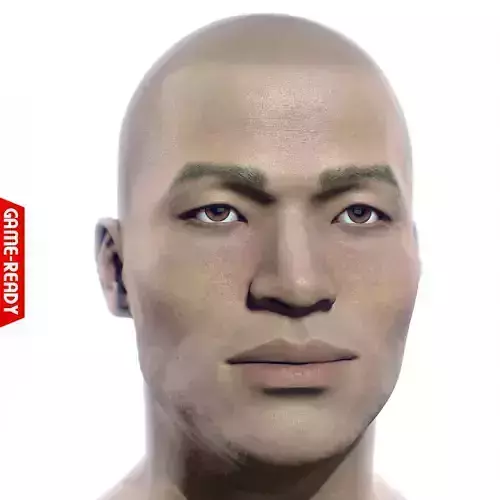 Average Asian Male Head Low-poly 3D model