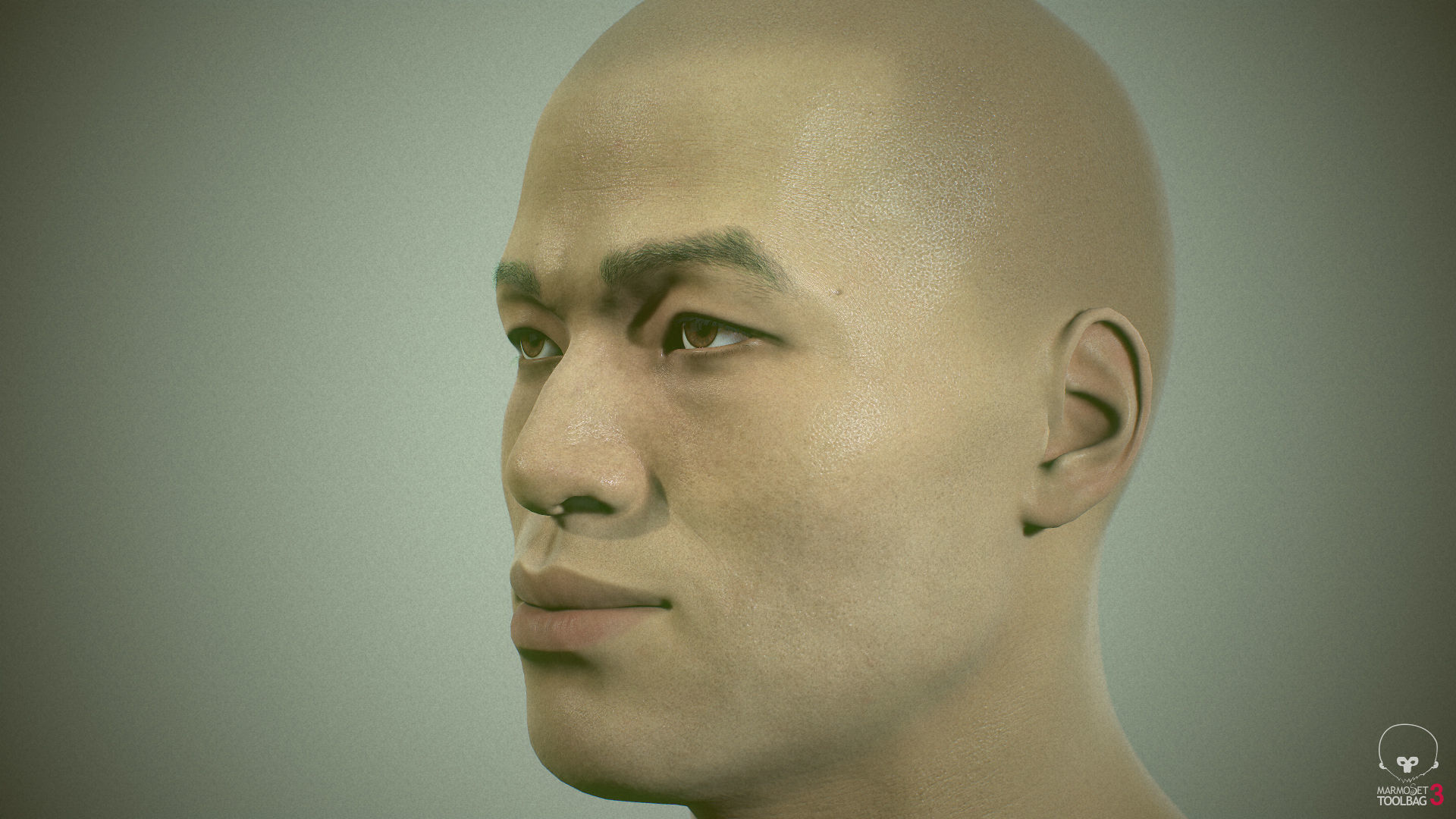 Average Asian Male Head Low-poly 3D model_21