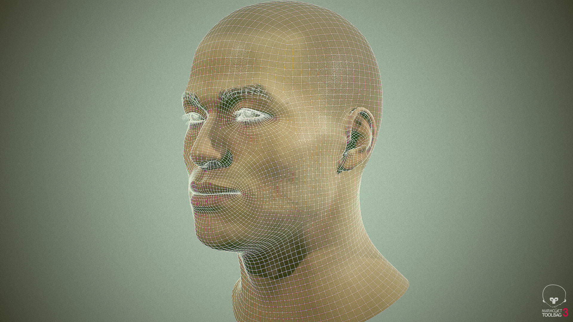 Average Asian Male Head Low-poly 3D model_31