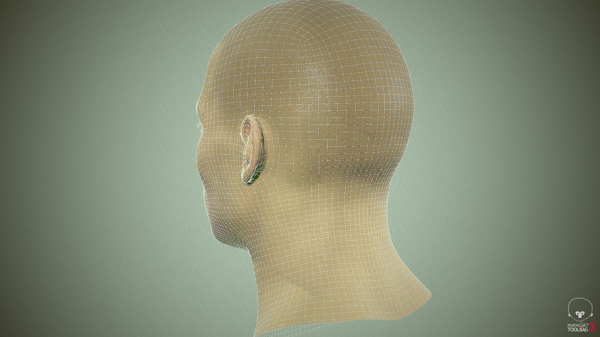 Average Asian Male Head Low-poly 3D model_29