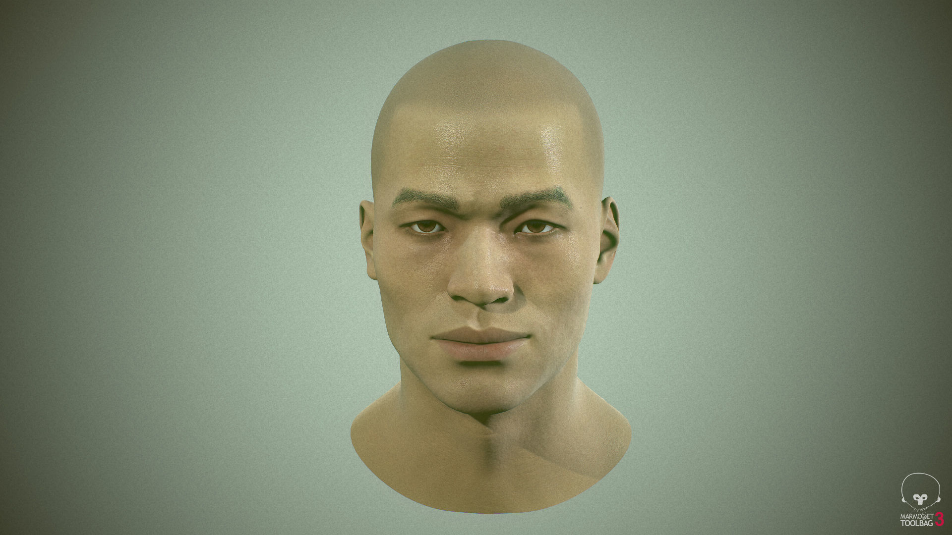 Average Asian Male Head Low-poly 3D model_24