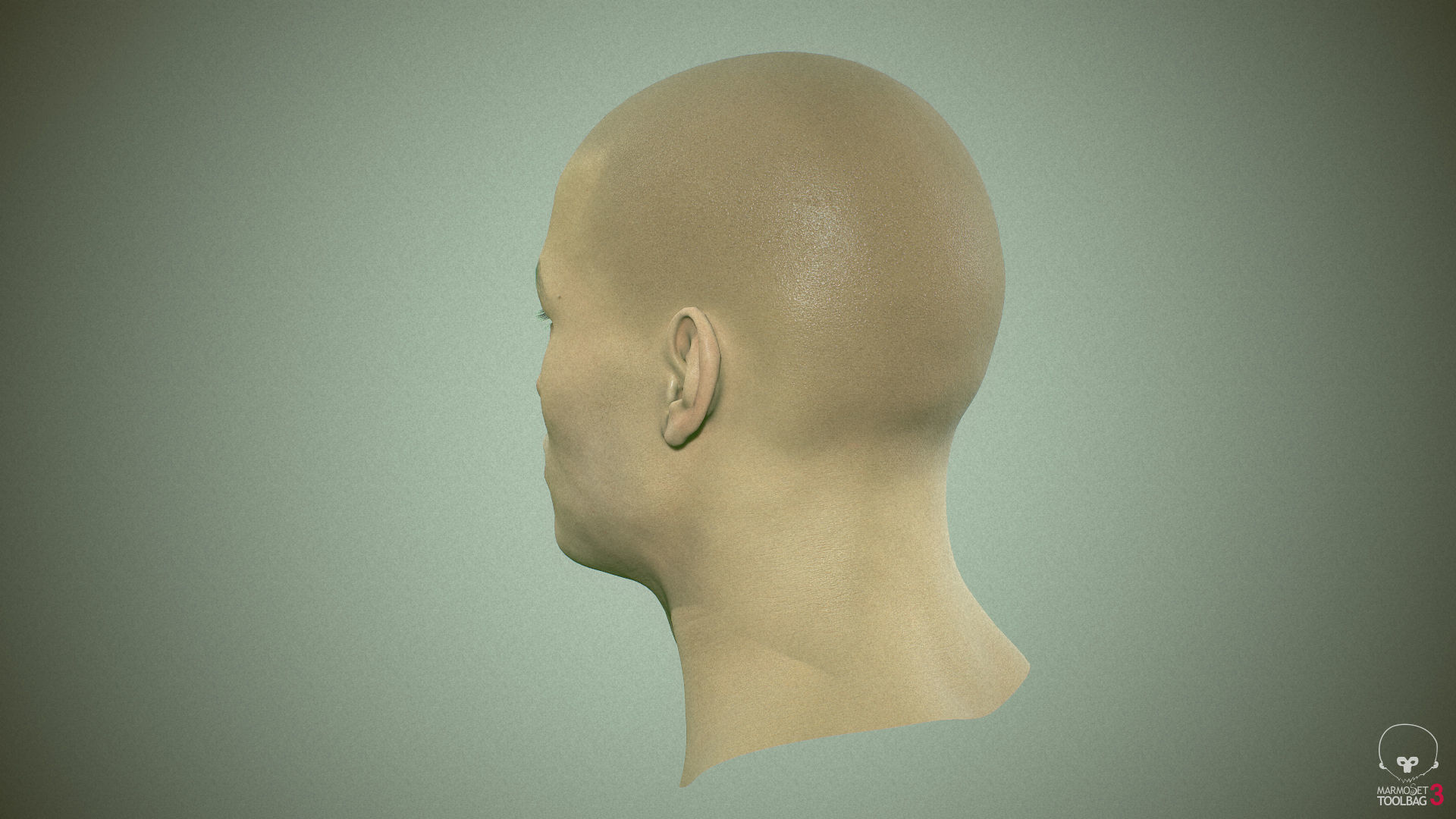 Average Asian Male Head Low-poly 3D model_27