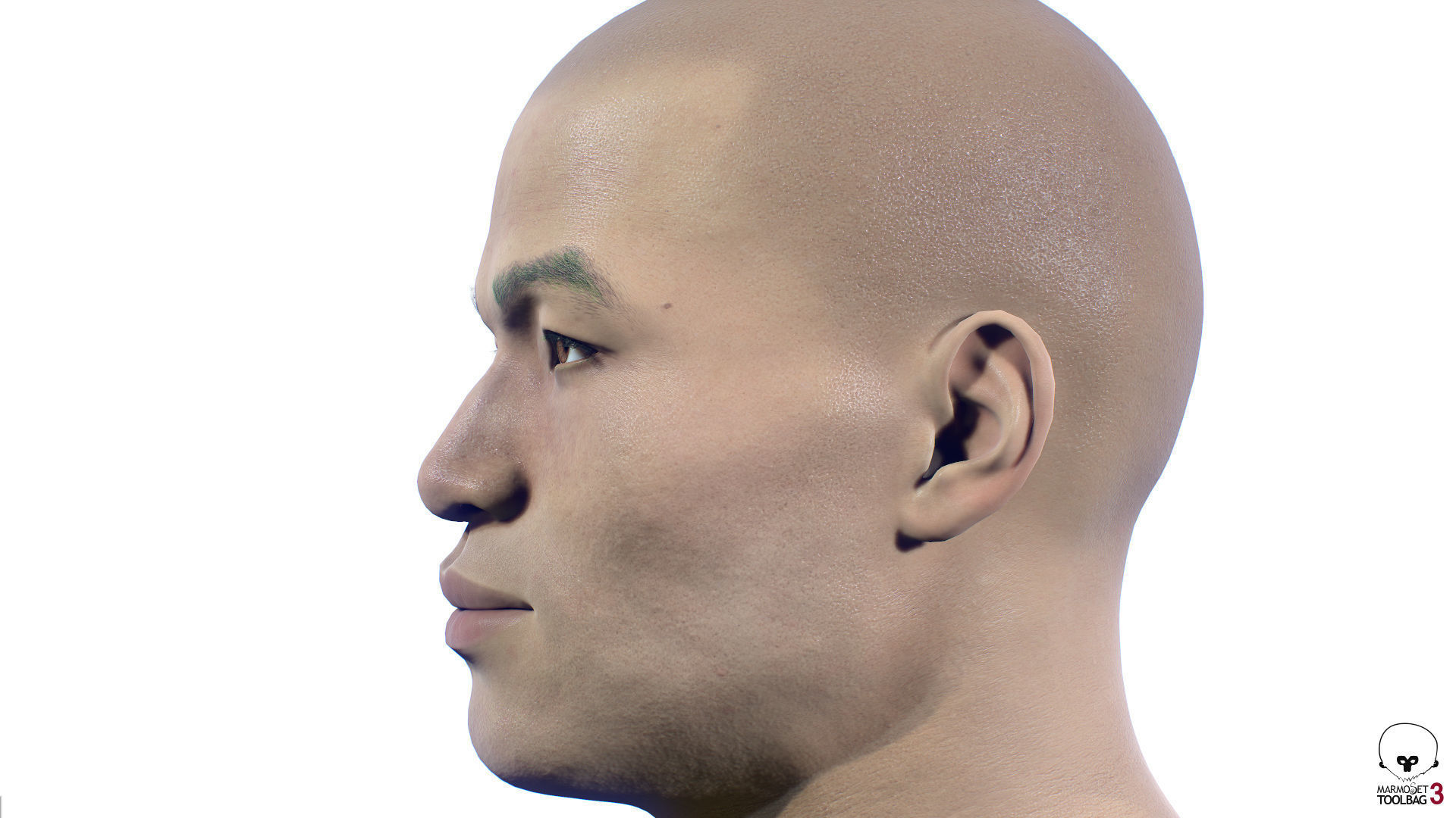 Average Asian Male Head Low-poly 3D model_3