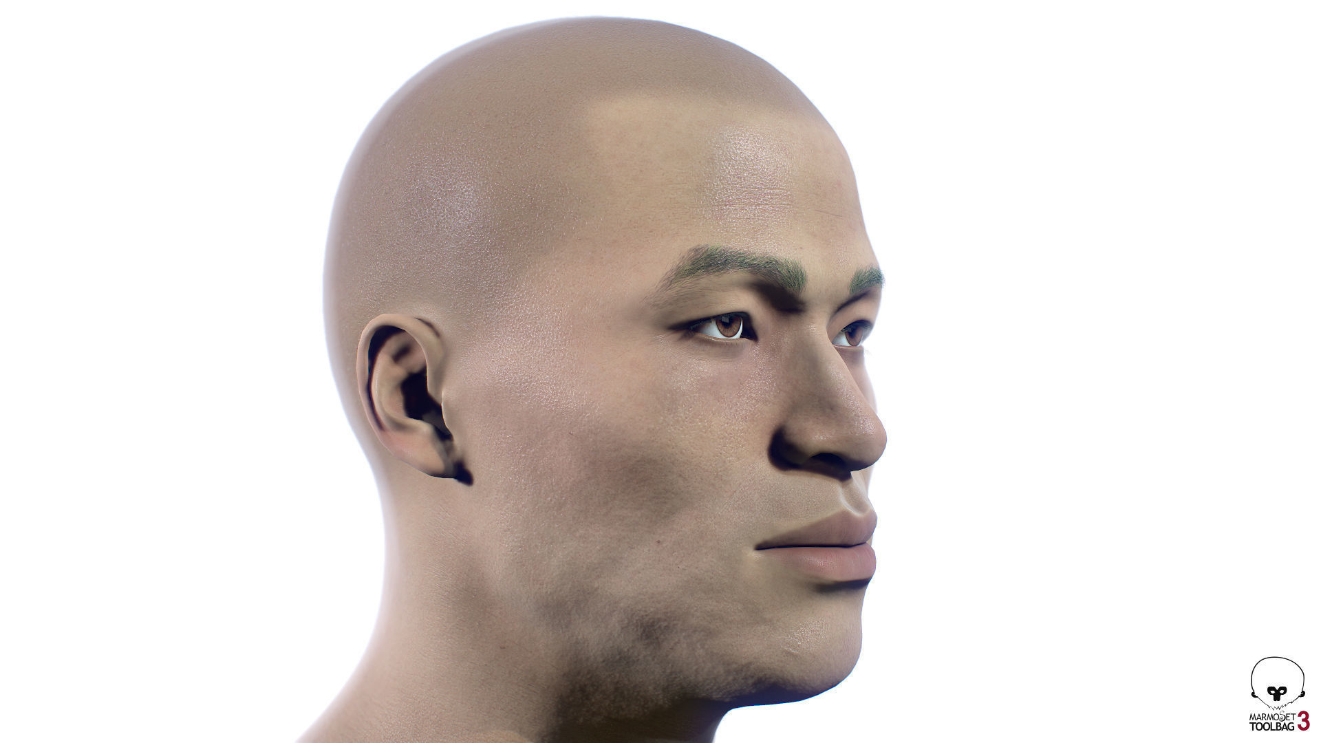 Average Asian Male Head Low-poly 3D model_2
