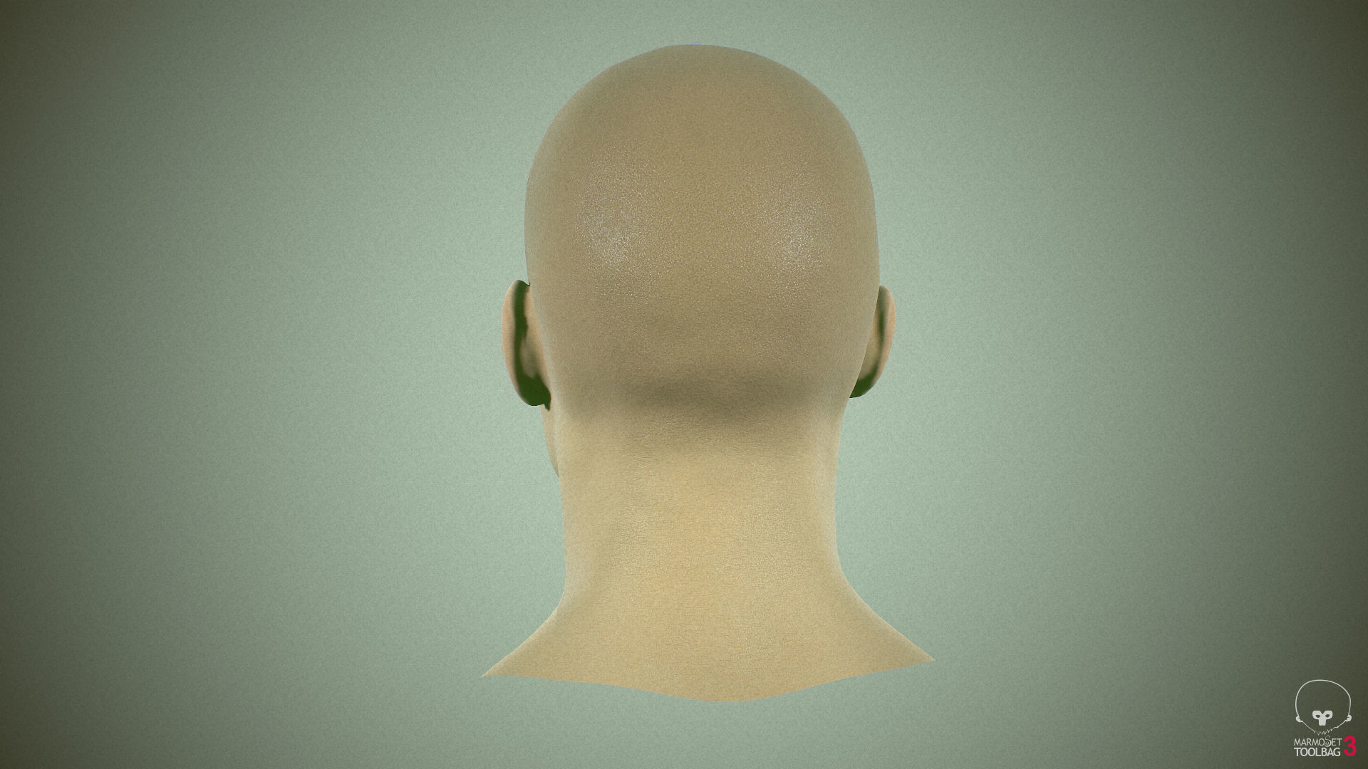 Average Asian Male Head Low-poly 3D model_28