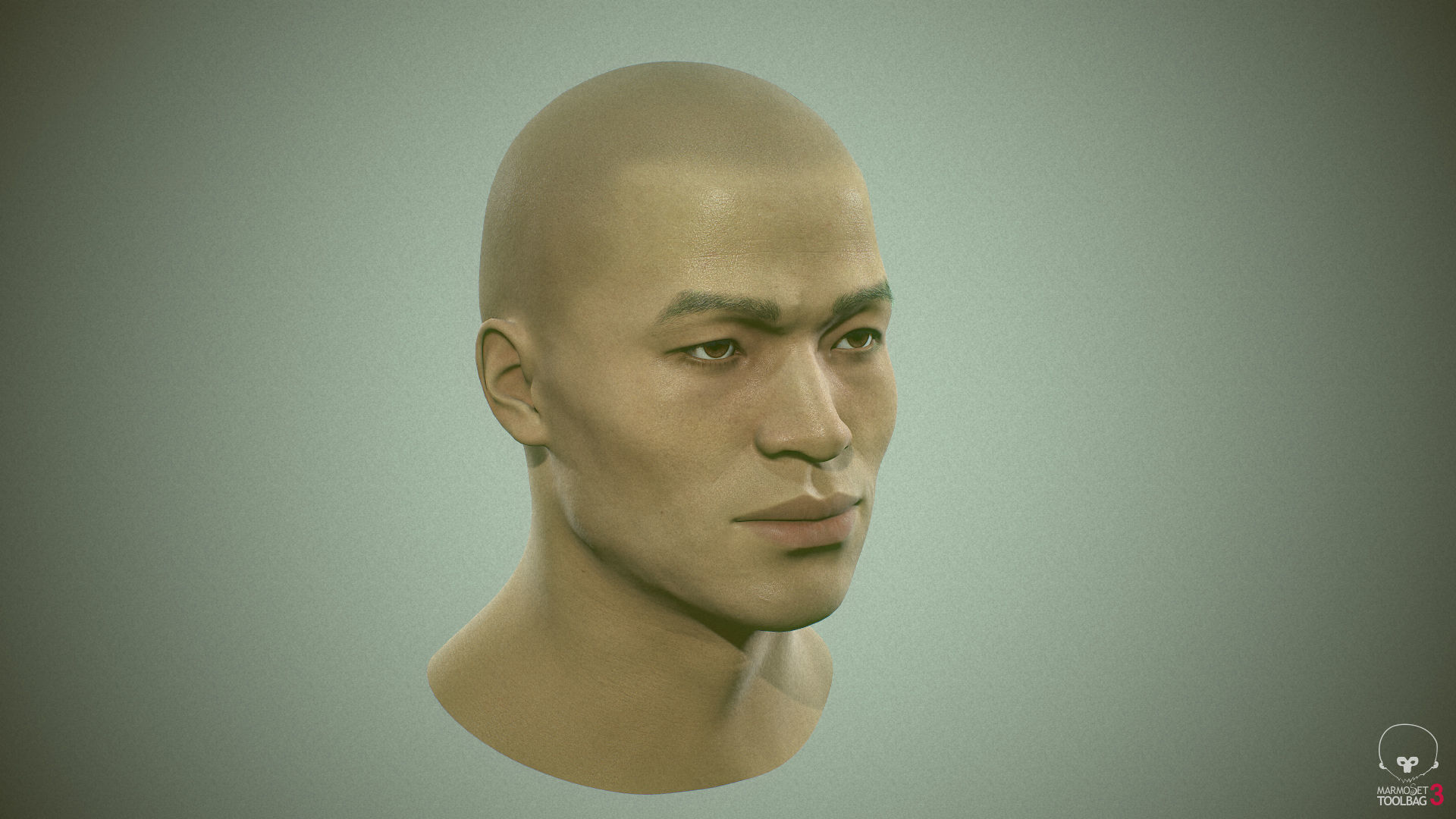 Average Asian Male Head Low-poly 3D model_23