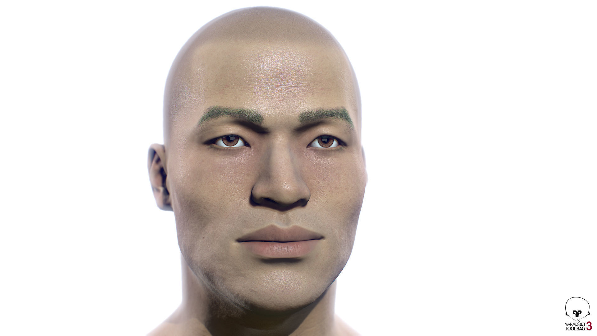 Average Asian Male Head Low-poly 3D model_1