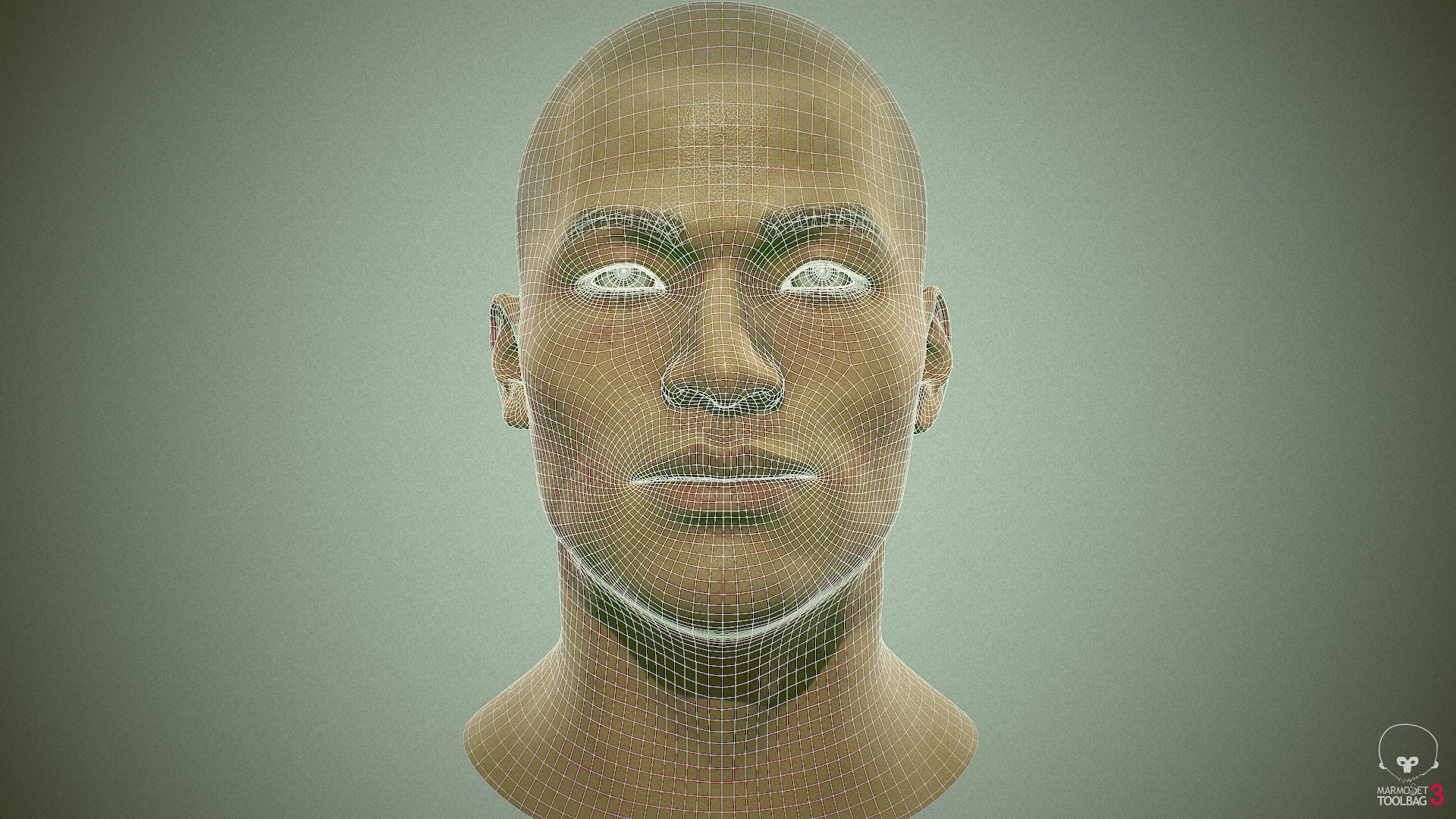 Average Asian Male Head Low-poly 3D model_30