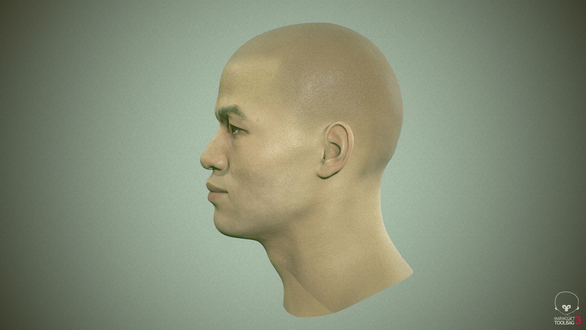 Average Asian Male Head Low-poly 3D model_26