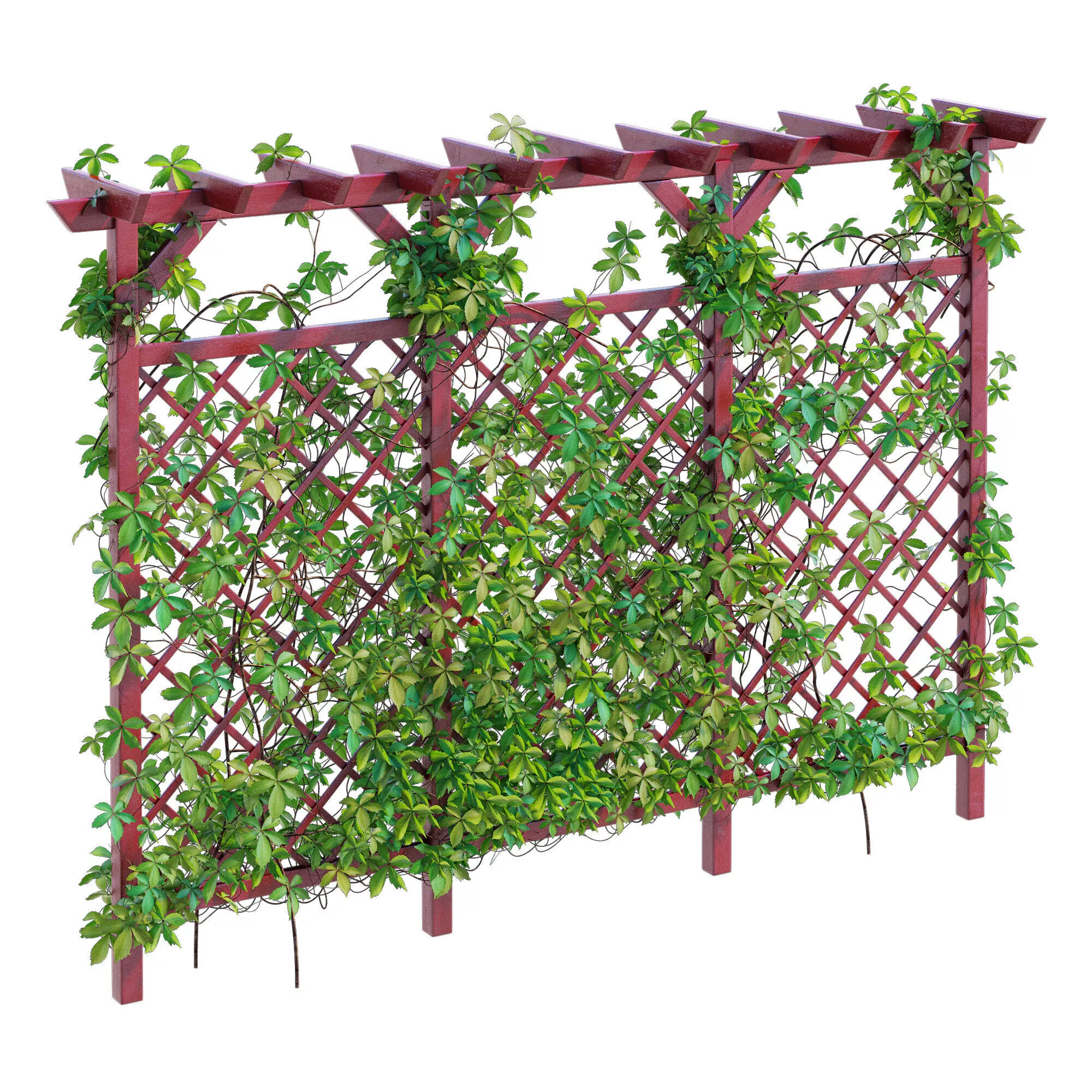 Garden Lattice Fence 3D model