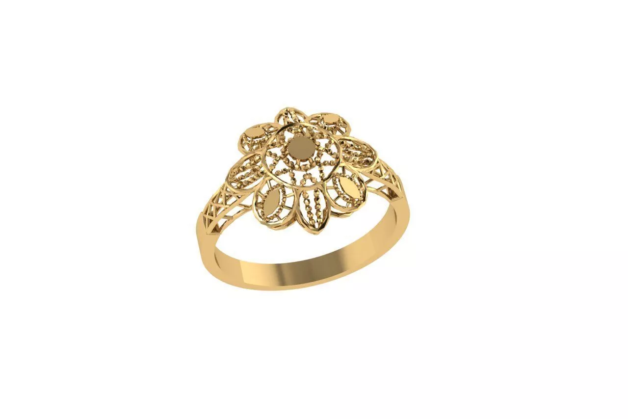 Indian Traditional Rings 3D print model