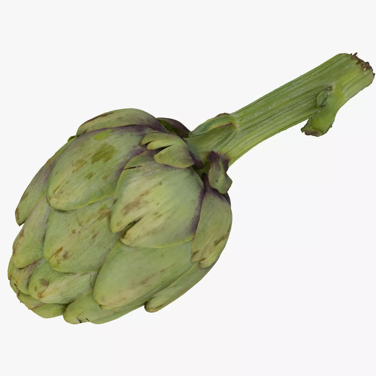 Artichoke 01 RAW SCAN 3D model
