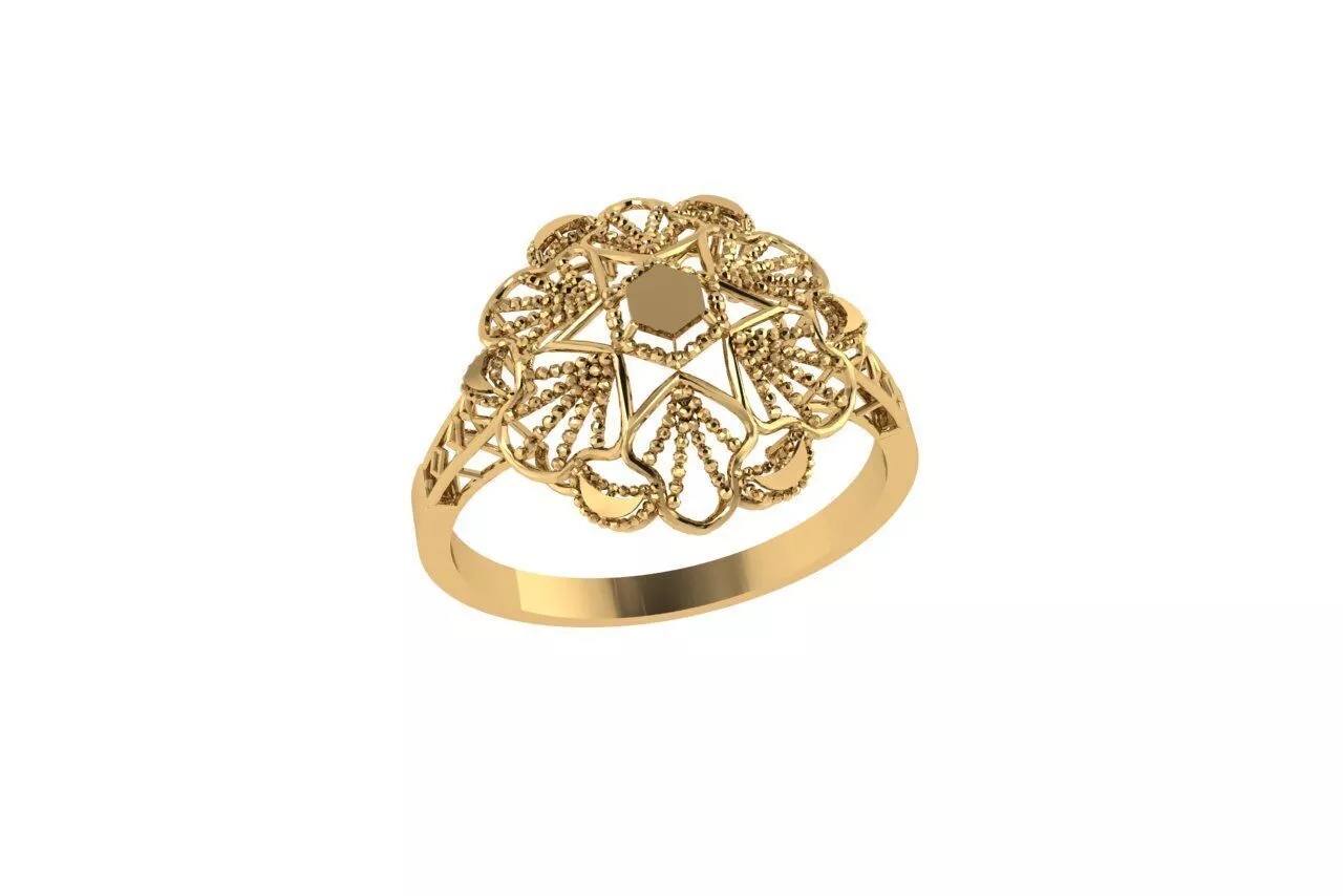 Indian Traditional Rings 3D print model