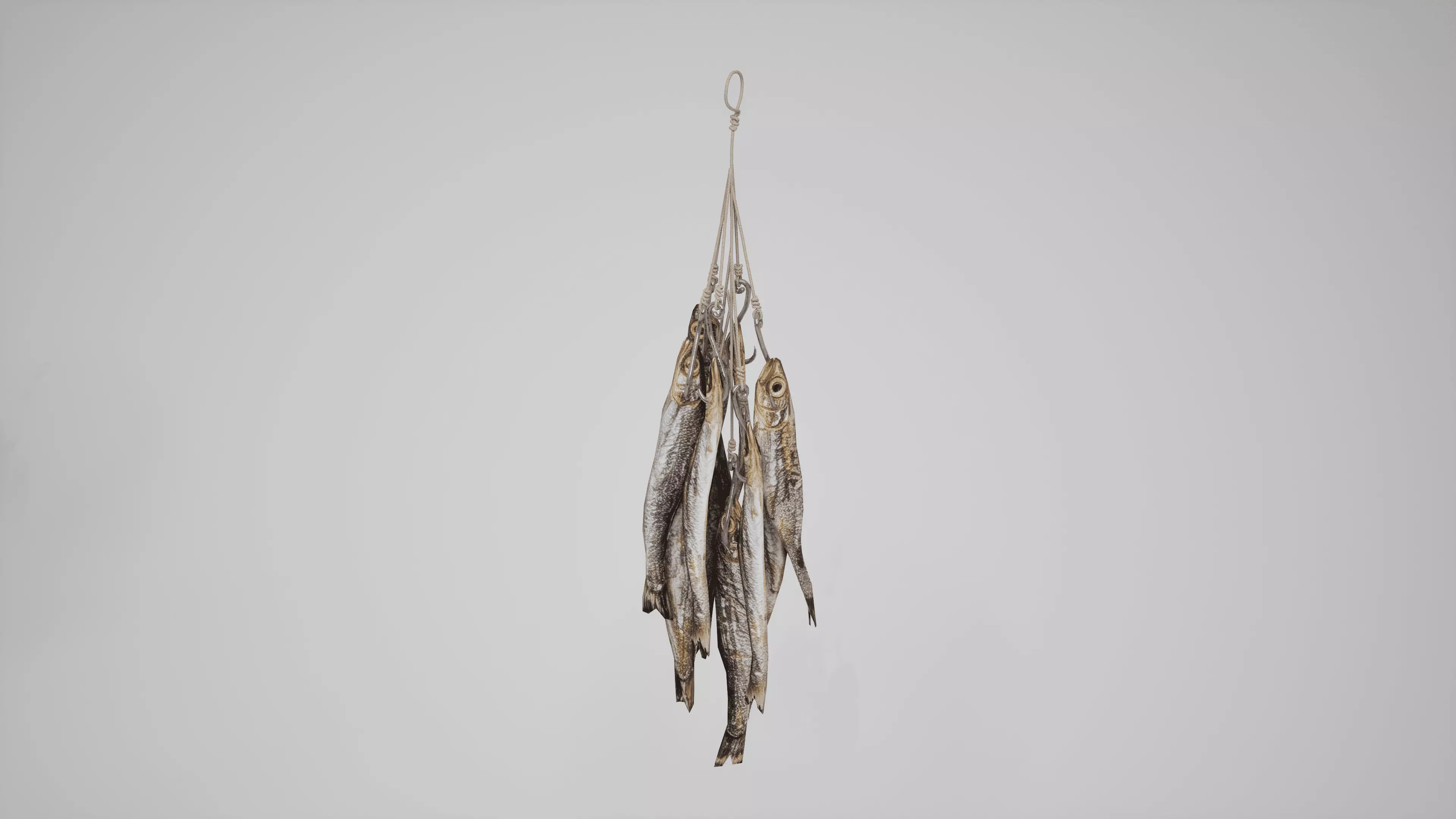 Hanged Dried Fish Free low-poly 3D model
