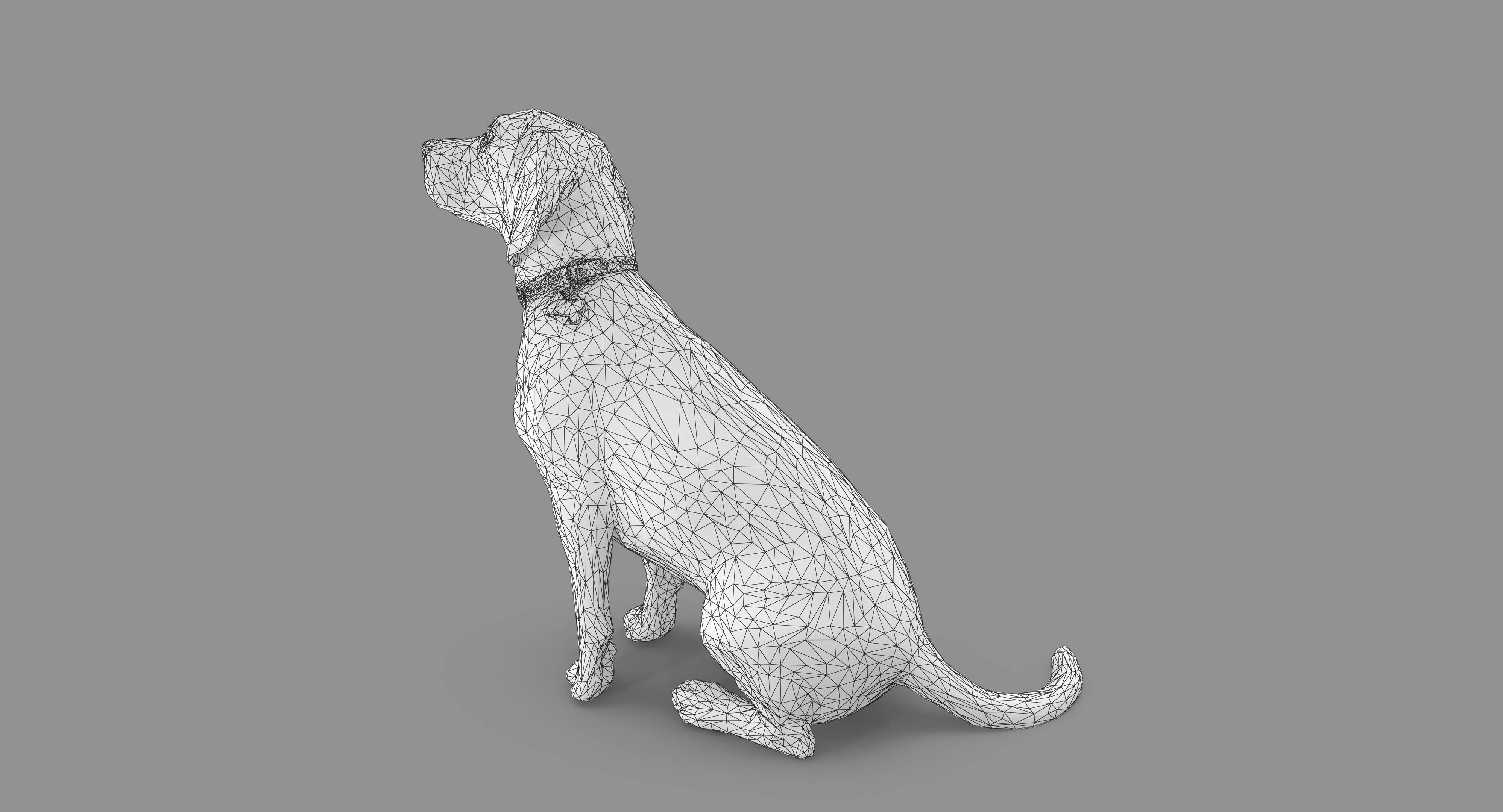 Beagle Low-poly 3D model_12