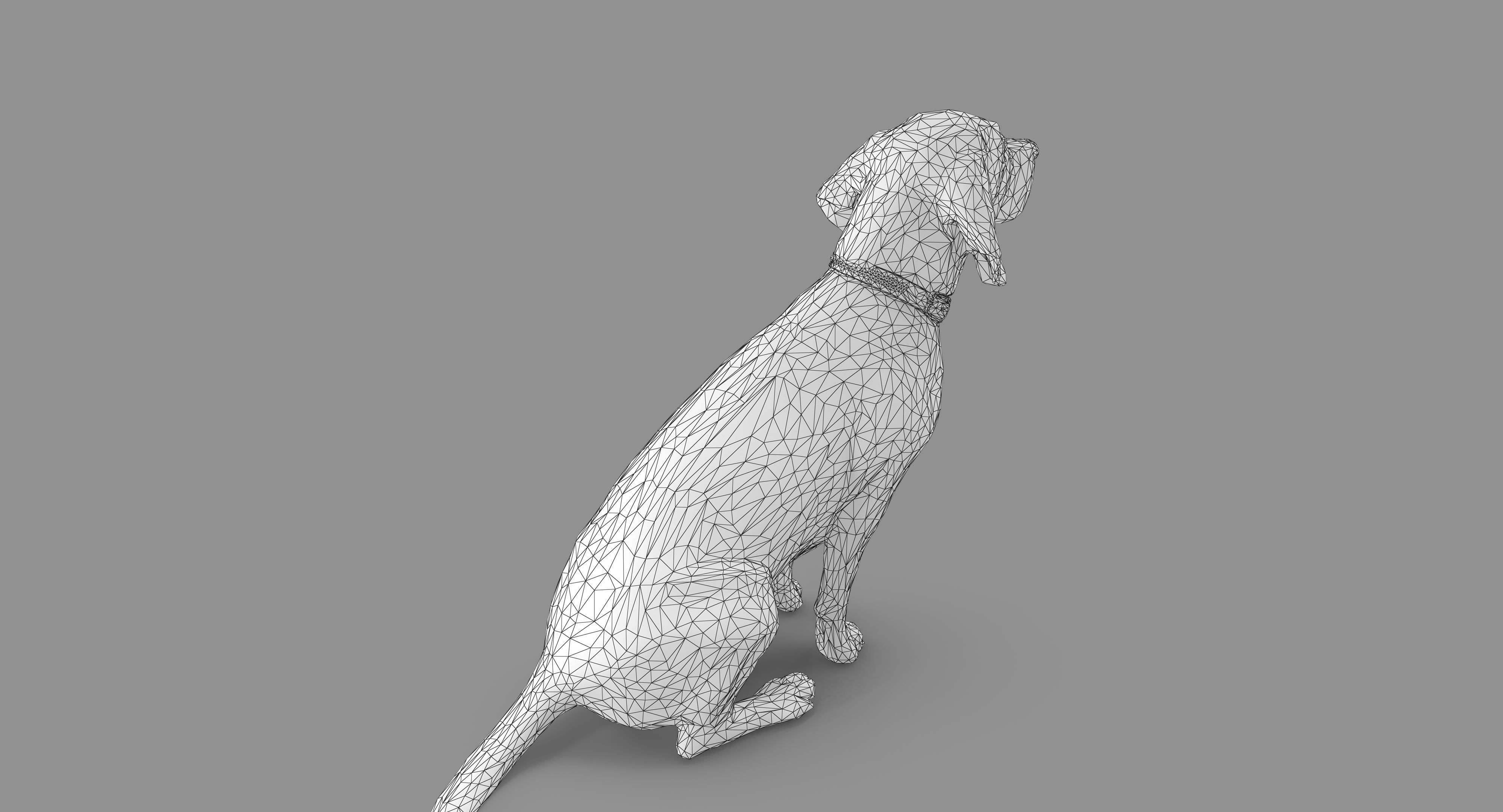 Beagle Low-poly 3D model_10