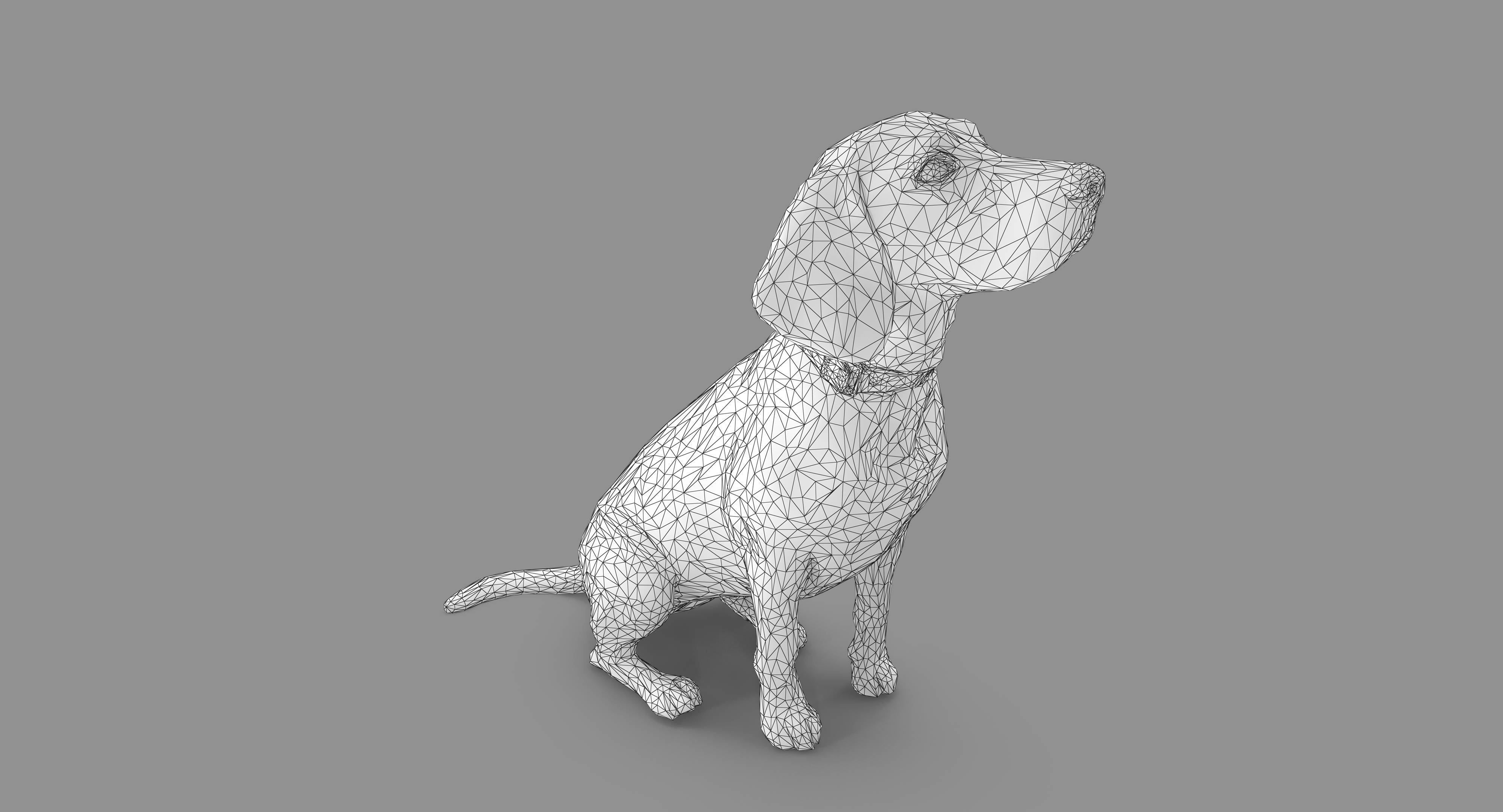 Beagle Low-poly 3D model_6
