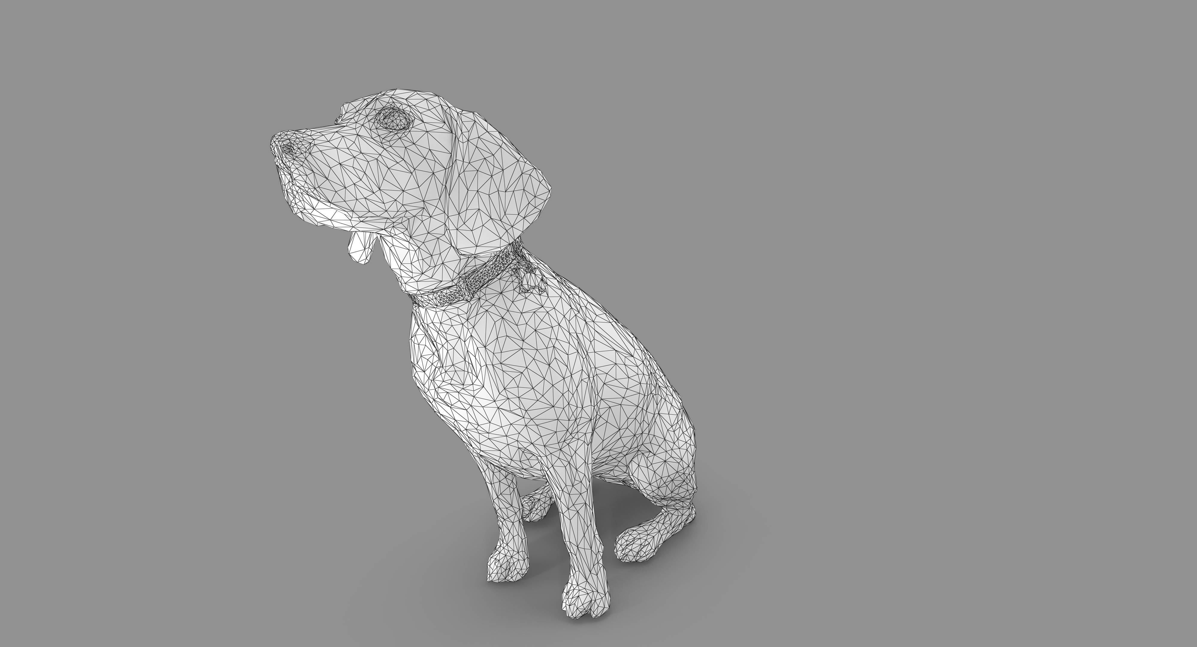 Beagle Low-poly 3D model_8