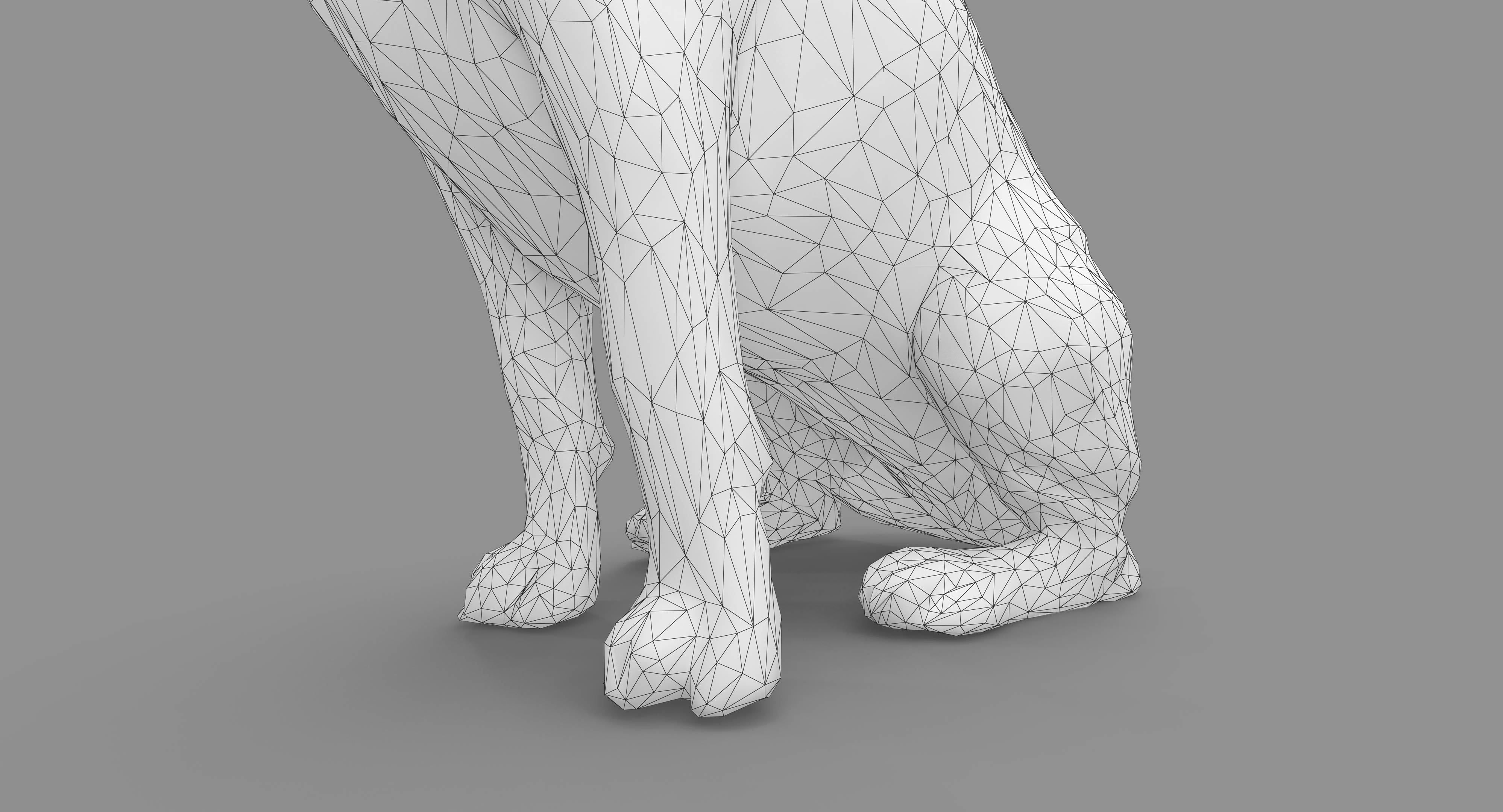 Beagle Low-poly 3D model_38