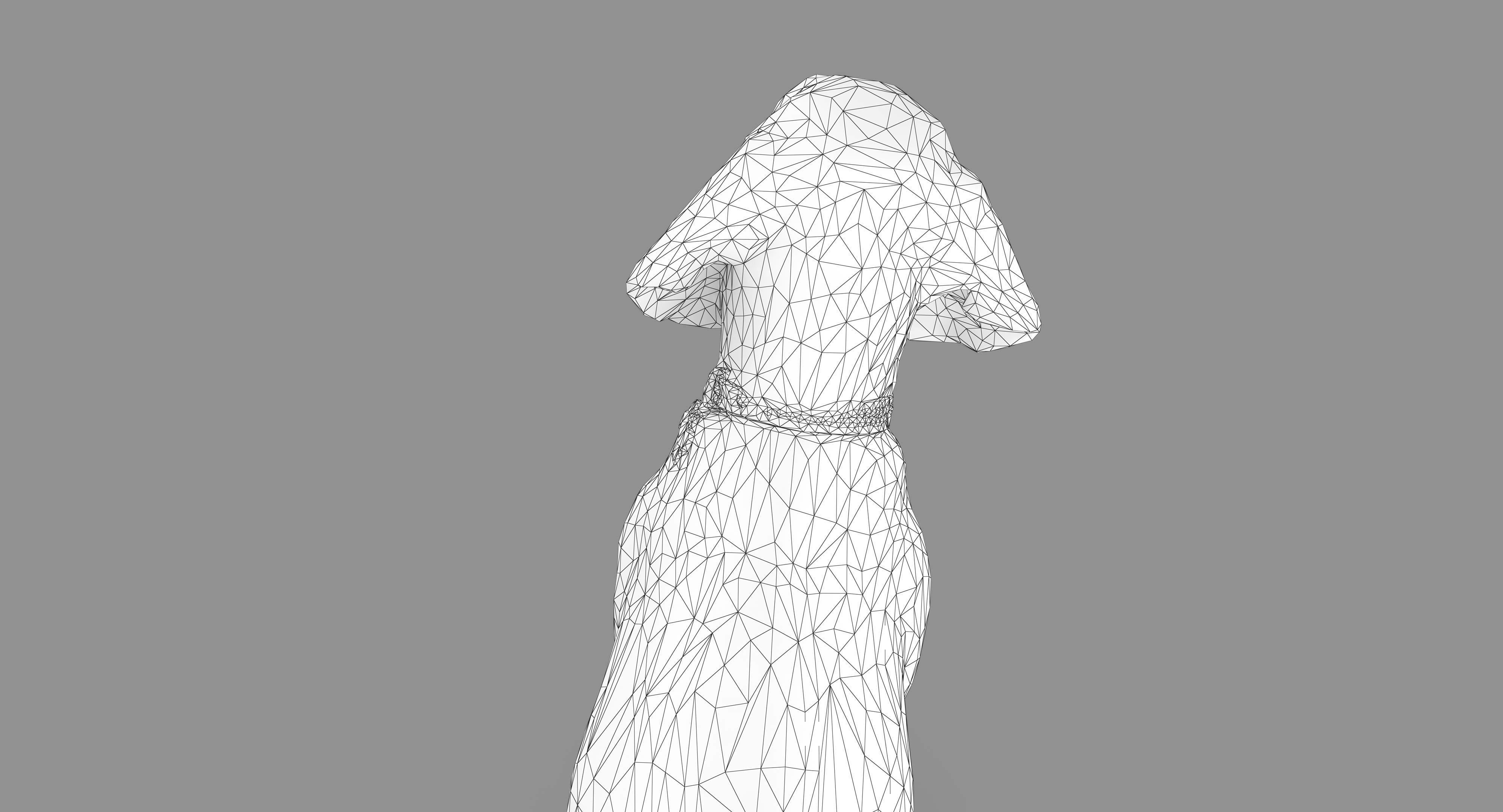 Beagle Low-poly 3D model_24